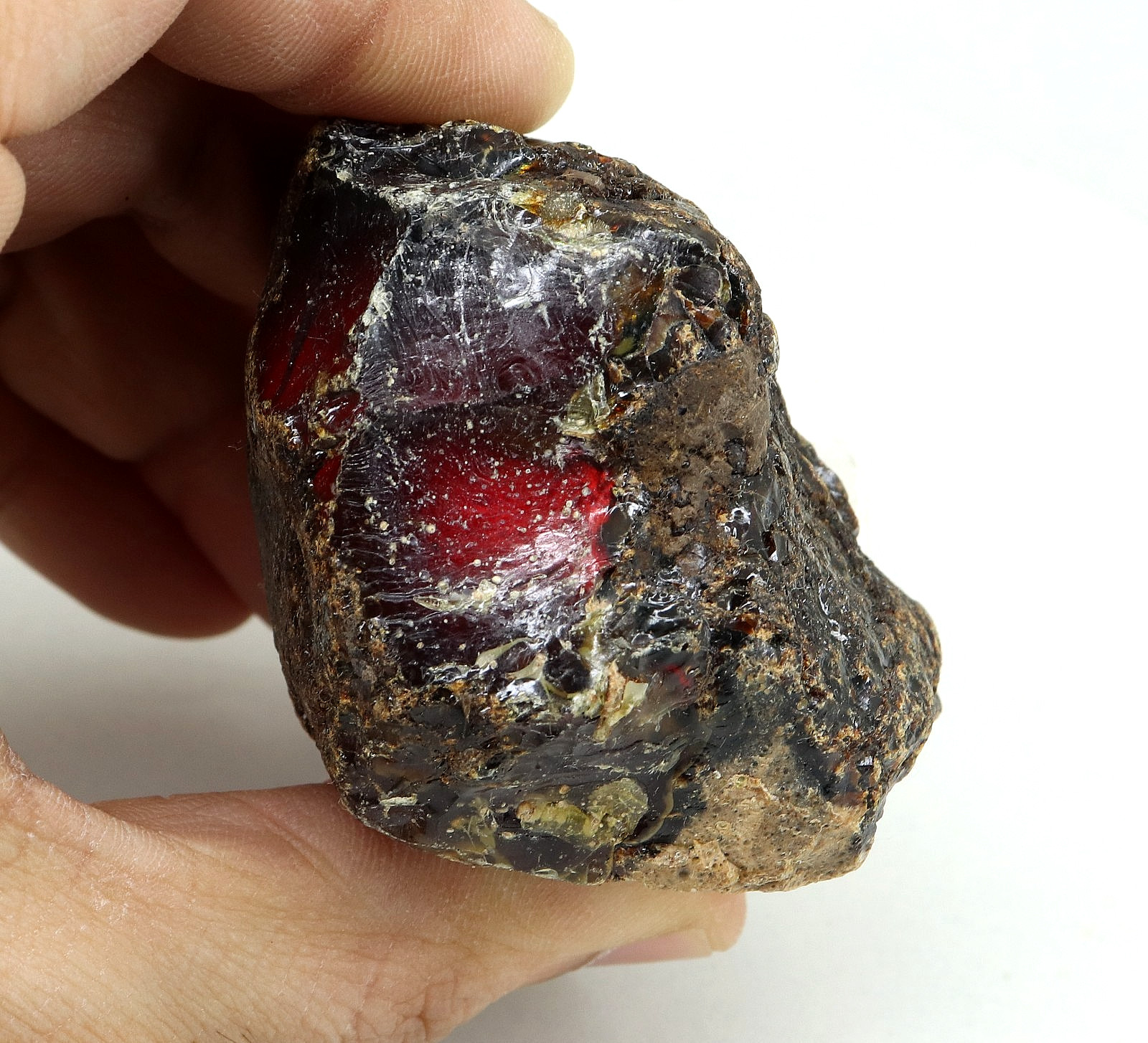 Natural Honey Baltic Amber Untreated Specimen Certified Rough Gemstone 233 Ct.