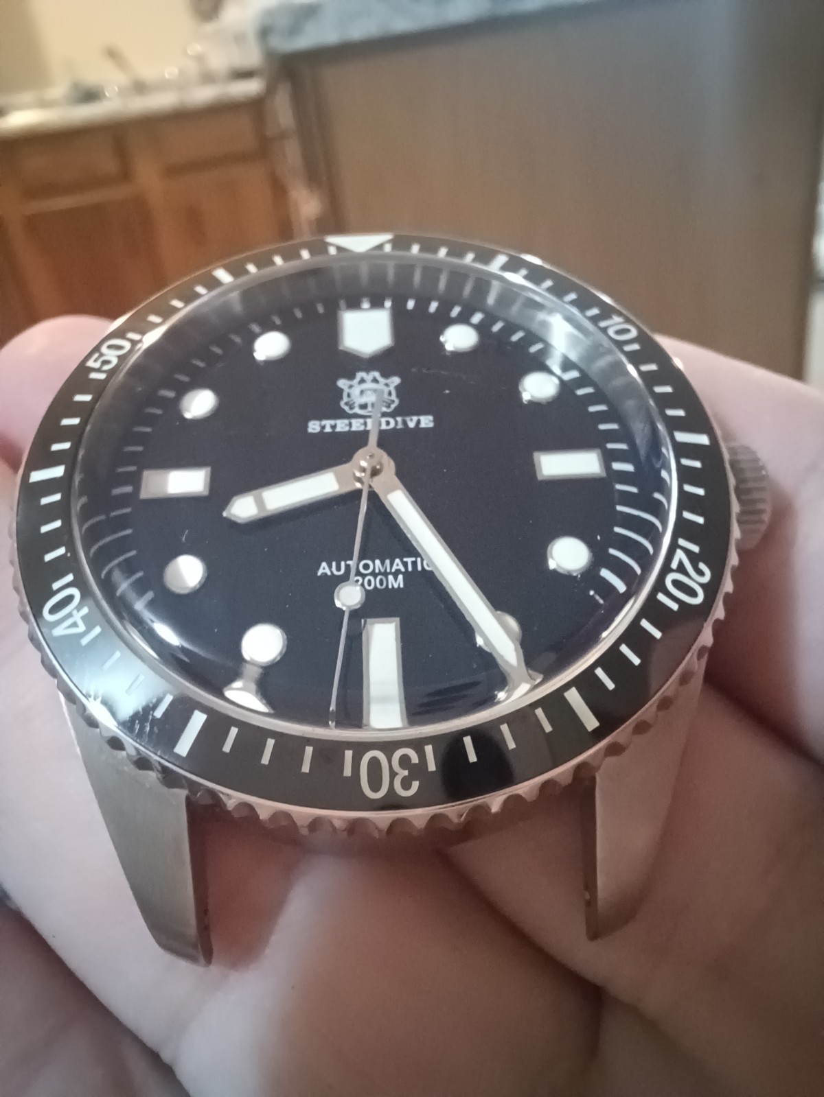 Steeldive dive watch