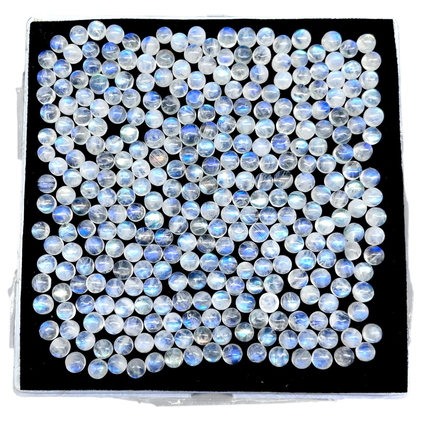 200 Pcs Natural Rainbow Blue Moonstone 4mm Round Loose Cabochon Gemstones Lot