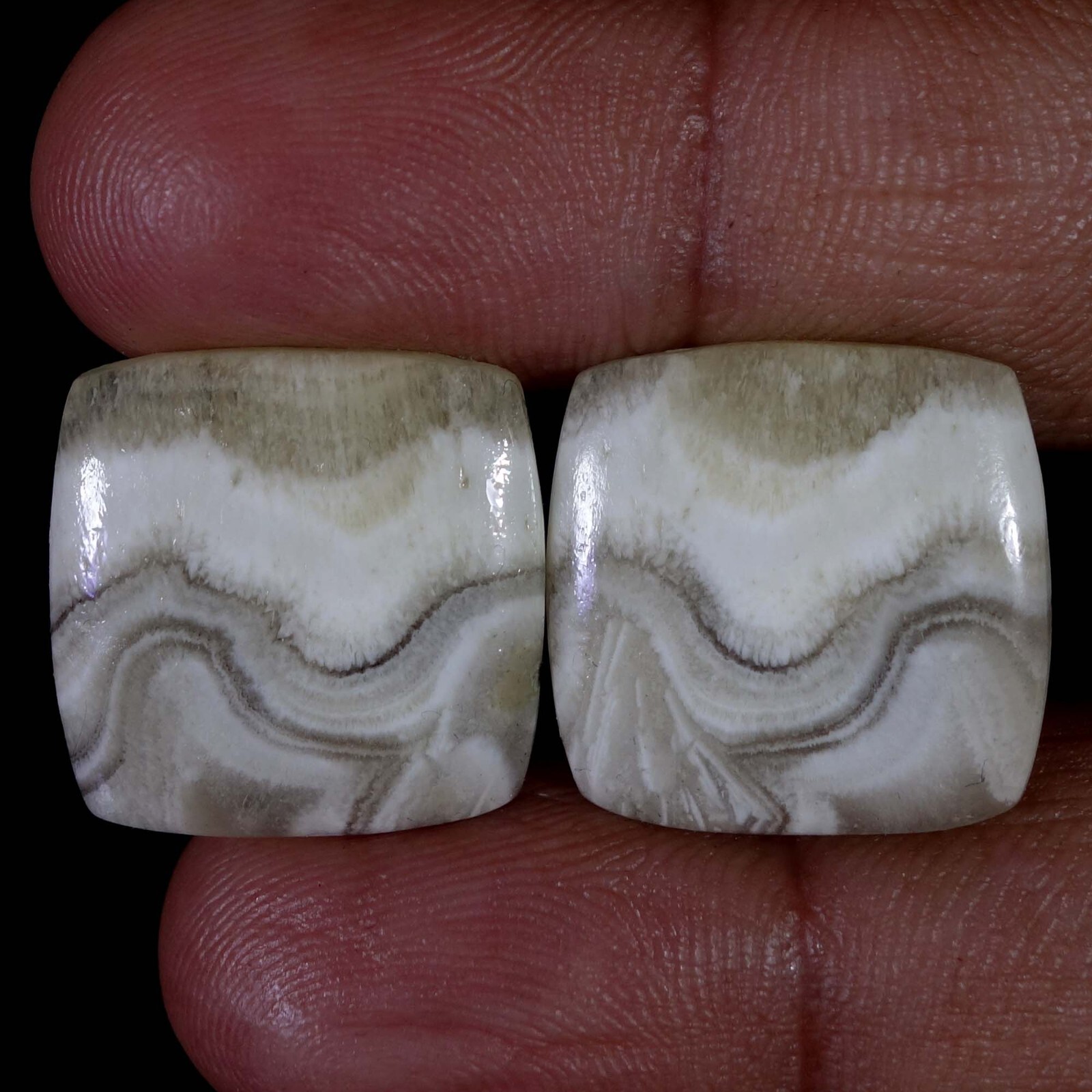 25.00Ct Natural Matched Cushion Pair Zebra Jasper Cabochon Earring jewelry 2 Pec