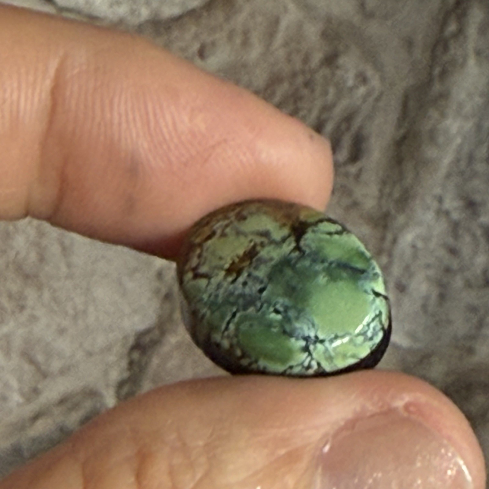 14.10ct 18.7c14.7×6.5mm Green Qingu Mine Turquoise Oval Cabochon Backed Stone