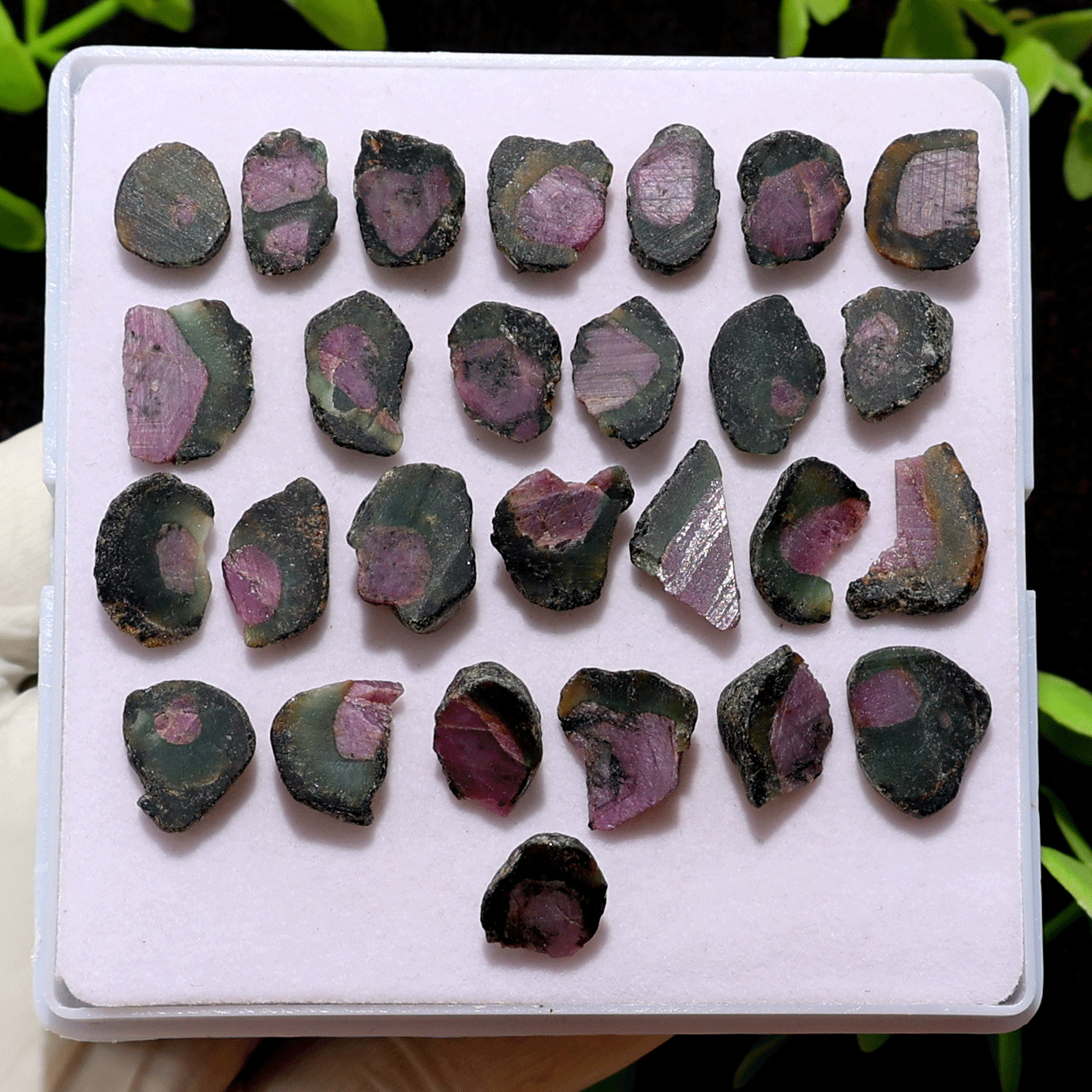 27 PC Natural Watermelon Ruby Untreated 11.5mm-17.4mm Rough Loose Gemstones Lot