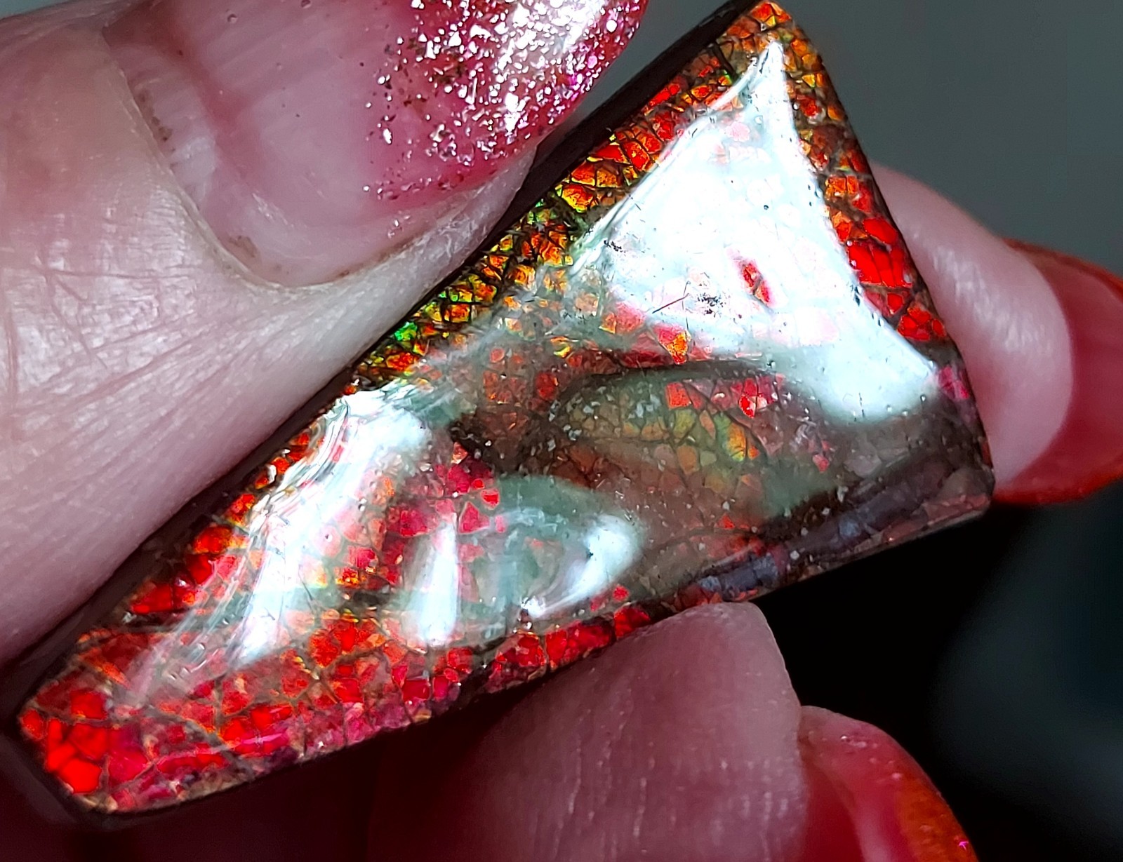 Ammolite Ammonite Coated Stone Color Changer 35.4×19.5×4.2mm 5340