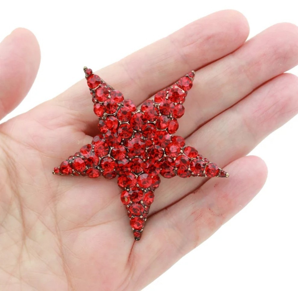 RED CRYSTAL RHINESTONE GOLD STAR PIN BROOCH PENDANT~CHRISTMAS HOLIDAY GIFT