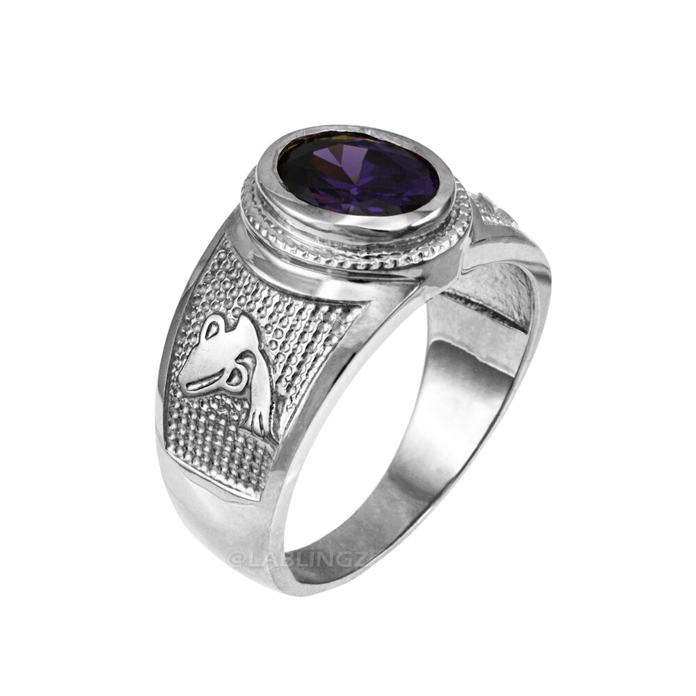 Sterling Silver Zodiac Sign Birthstone CZ Ring