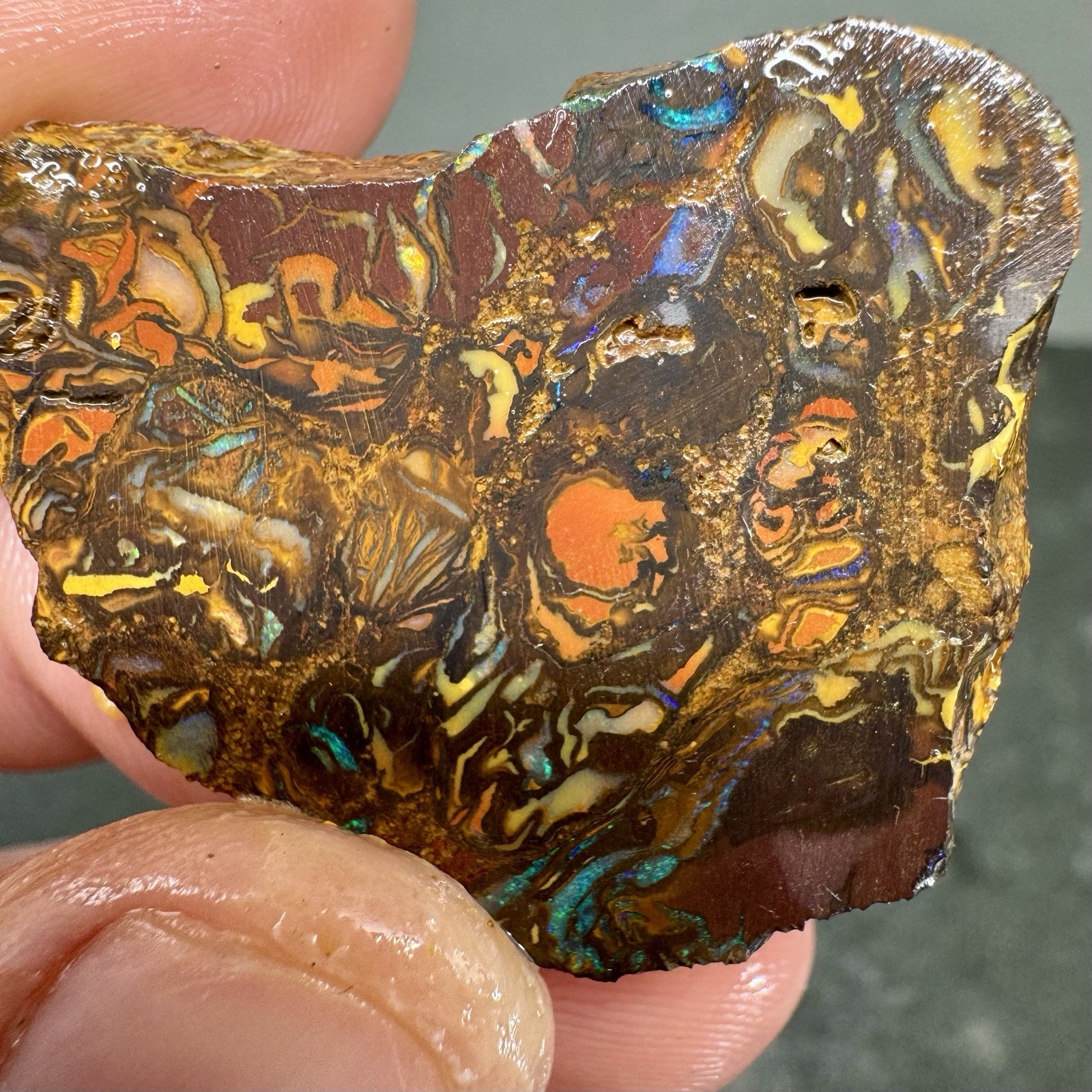 71ct Koroit Boulder Opal Slab Tribal Matrix Blues Greens Australian
