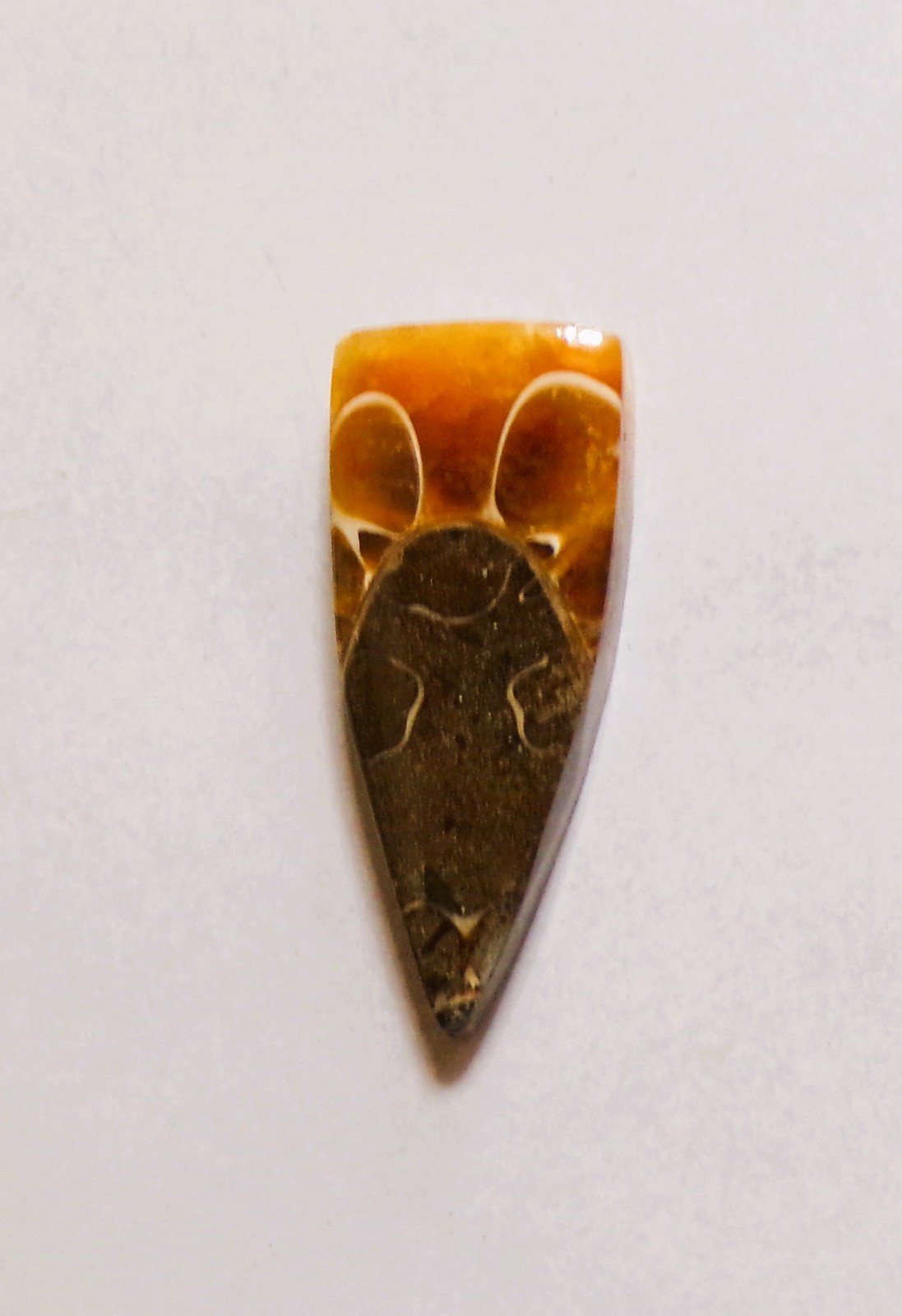 13.45 Cts Natural Ammonite Cabochon Loose Gemstone 26.6X11X5MM DE-02