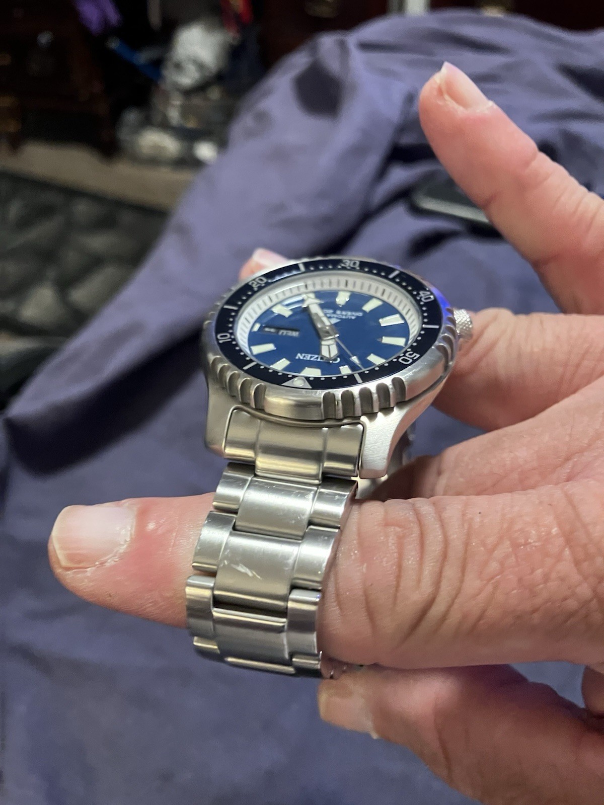 CITIZEN PROMASTER Fugu Pufferfish Diver’s 200m Automatic NY0161-63L Limited Ed