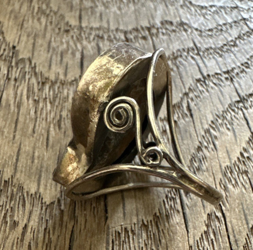 Sterling Silver Ammonite Natural Fossil Ring Size 6