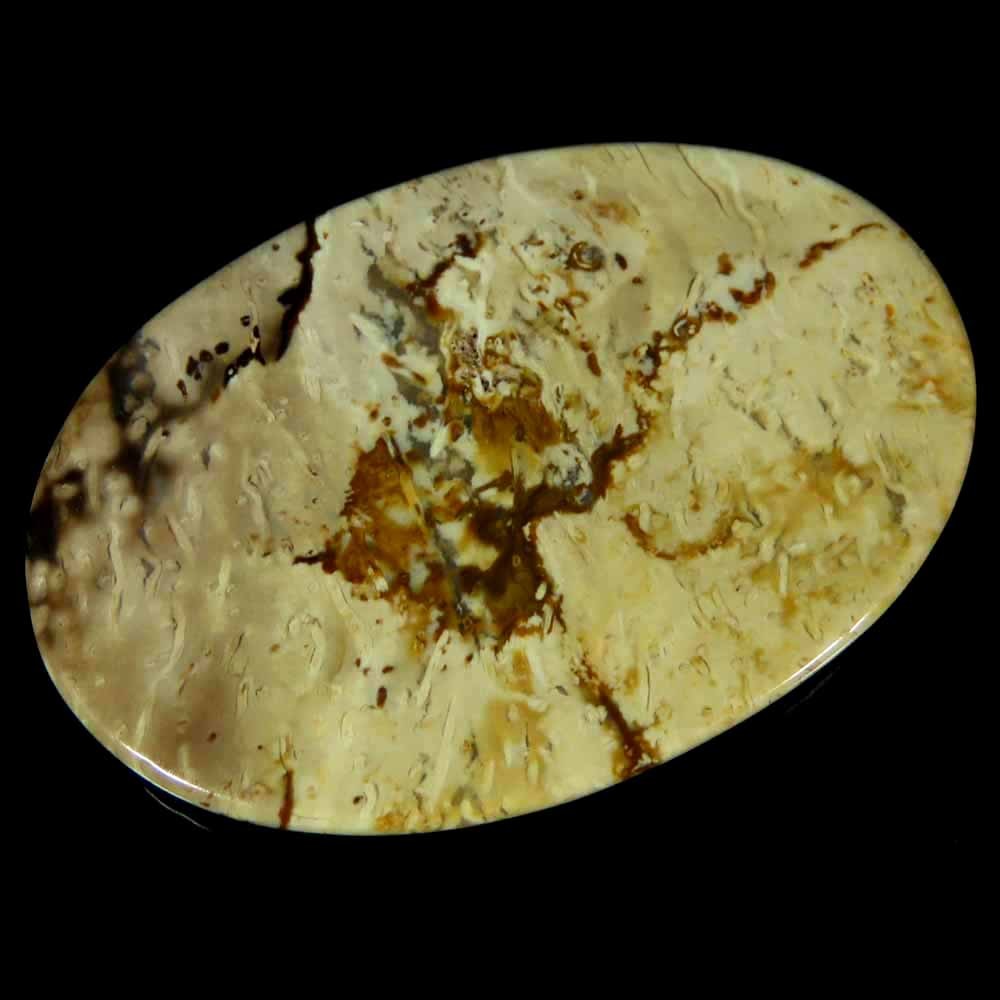 72.70Cts.100%Natural Top Quality Palm Root Agate 35x51x5mm Oval Cab Gemstone