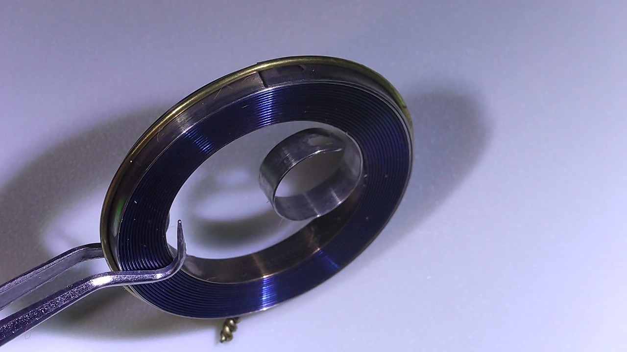 ROSKOPF Watch Barrel Spring Ø 22 mm Height 2.50 mm Thickness 0.25 mm Steel