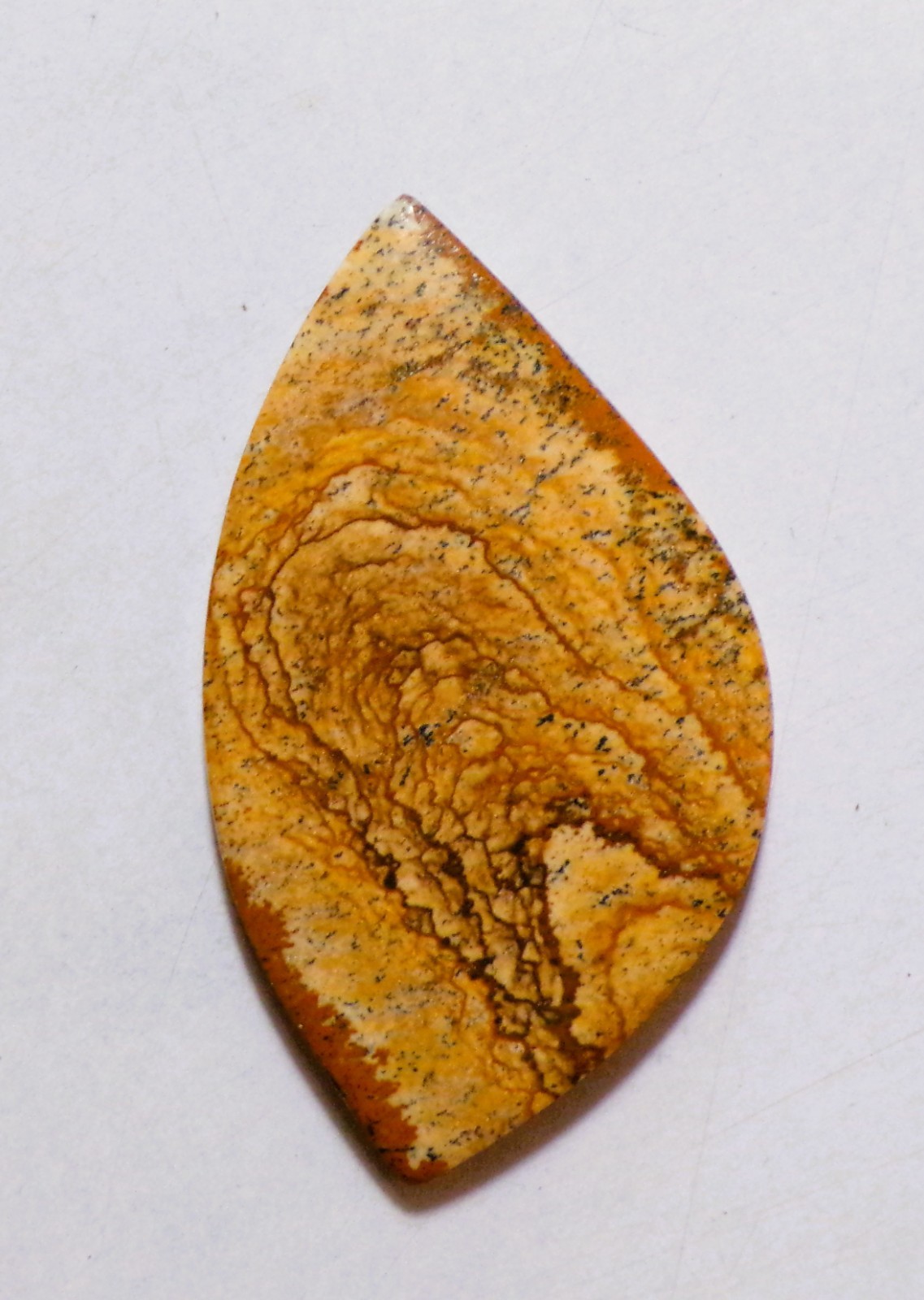 36.55 Cts Natural Picture Jasper Cabochon Loose Gemstone 47.4X27.2X4MM