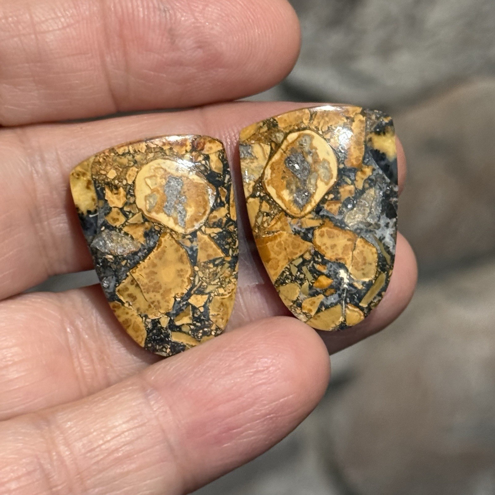 41.6ct 26.5×18.5x4mm Pair Fine Colorful Scenic Picture Maligano Jasper Cabochons