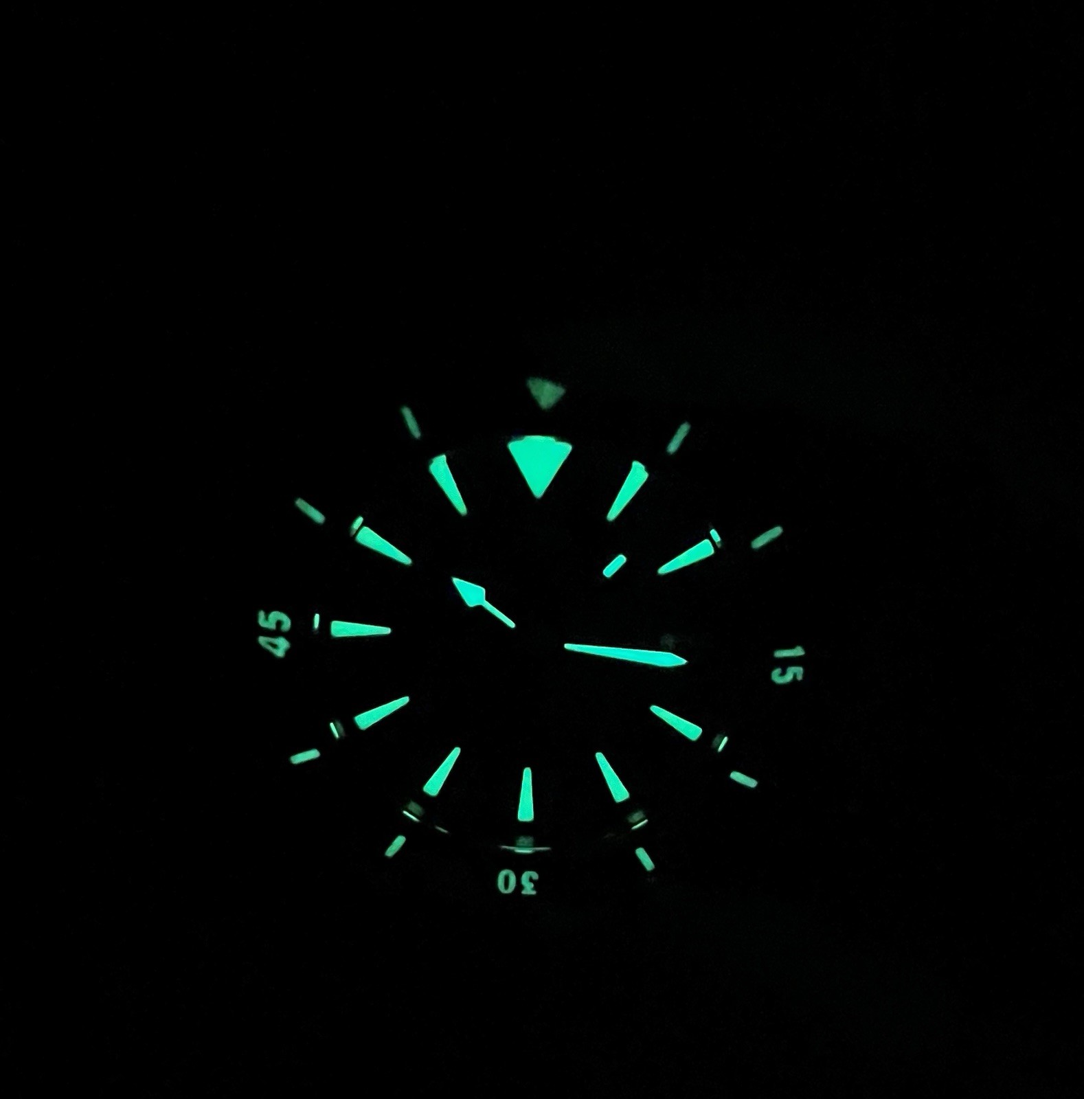 Ventus Mori Brass Automatic Dive Watch 300m Black Dial Unidirectional Bezel