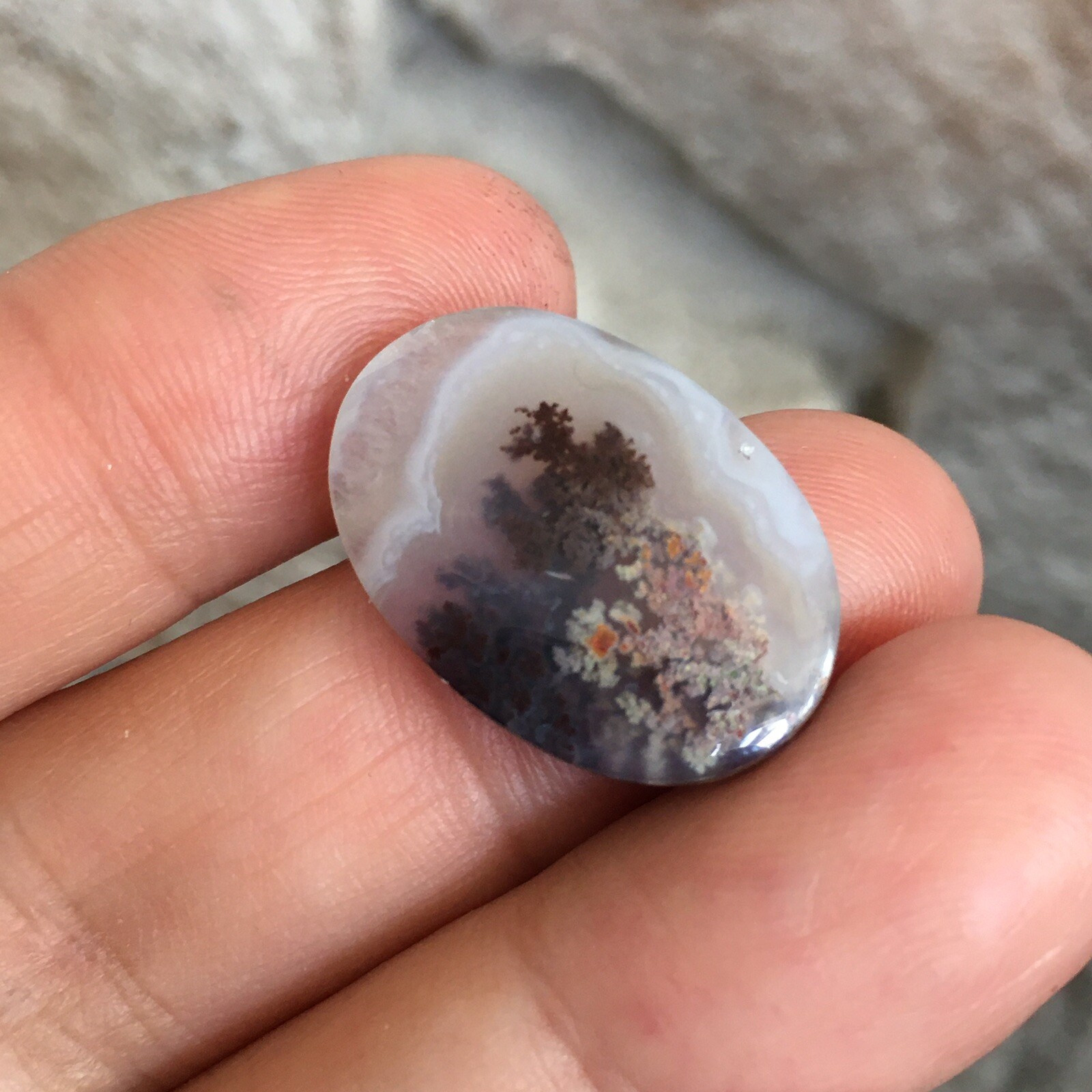 23.3×15.7x5mm Fine Silver Garden Moss Agate Oval Cabochon Loose Picture Stone