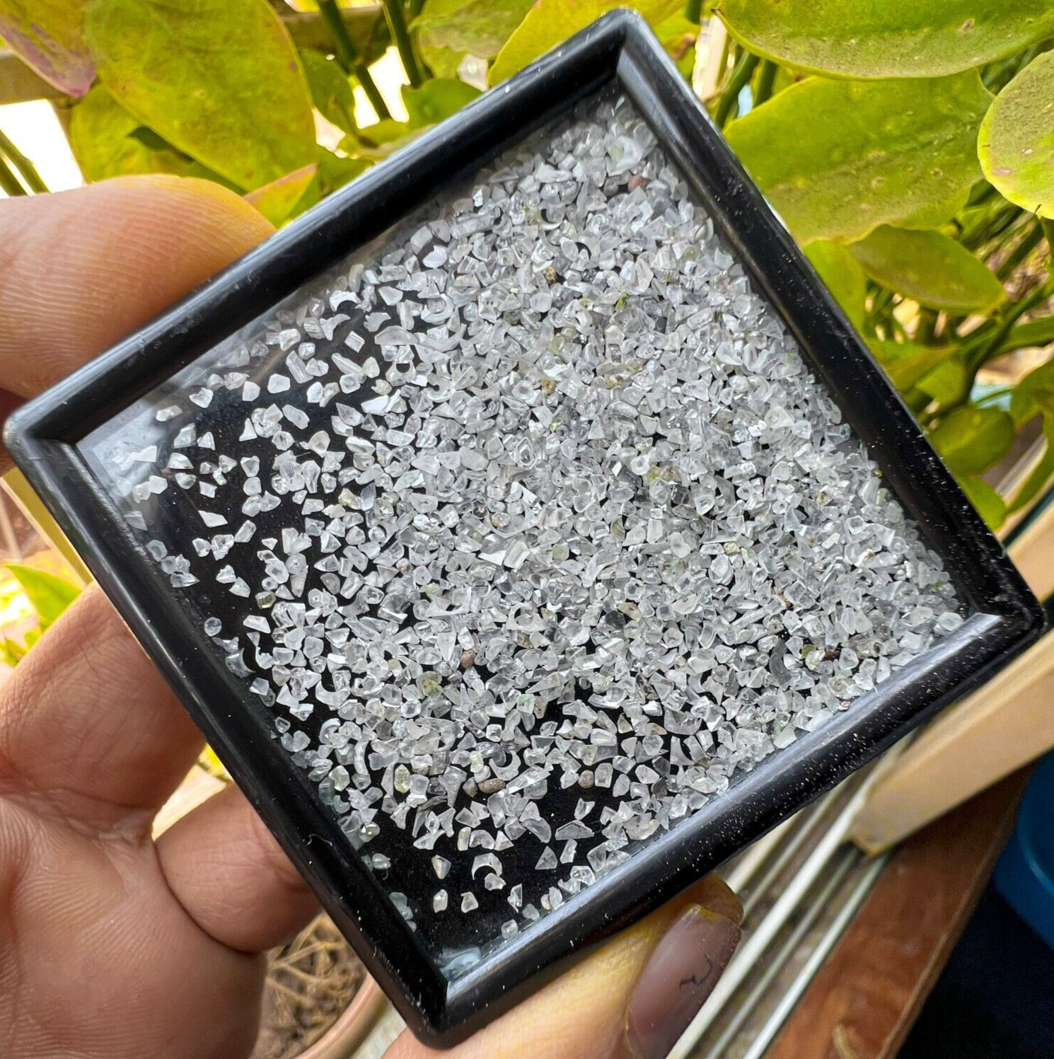 20 Ctw+ Raw Uncut 100% Loose Diamonds