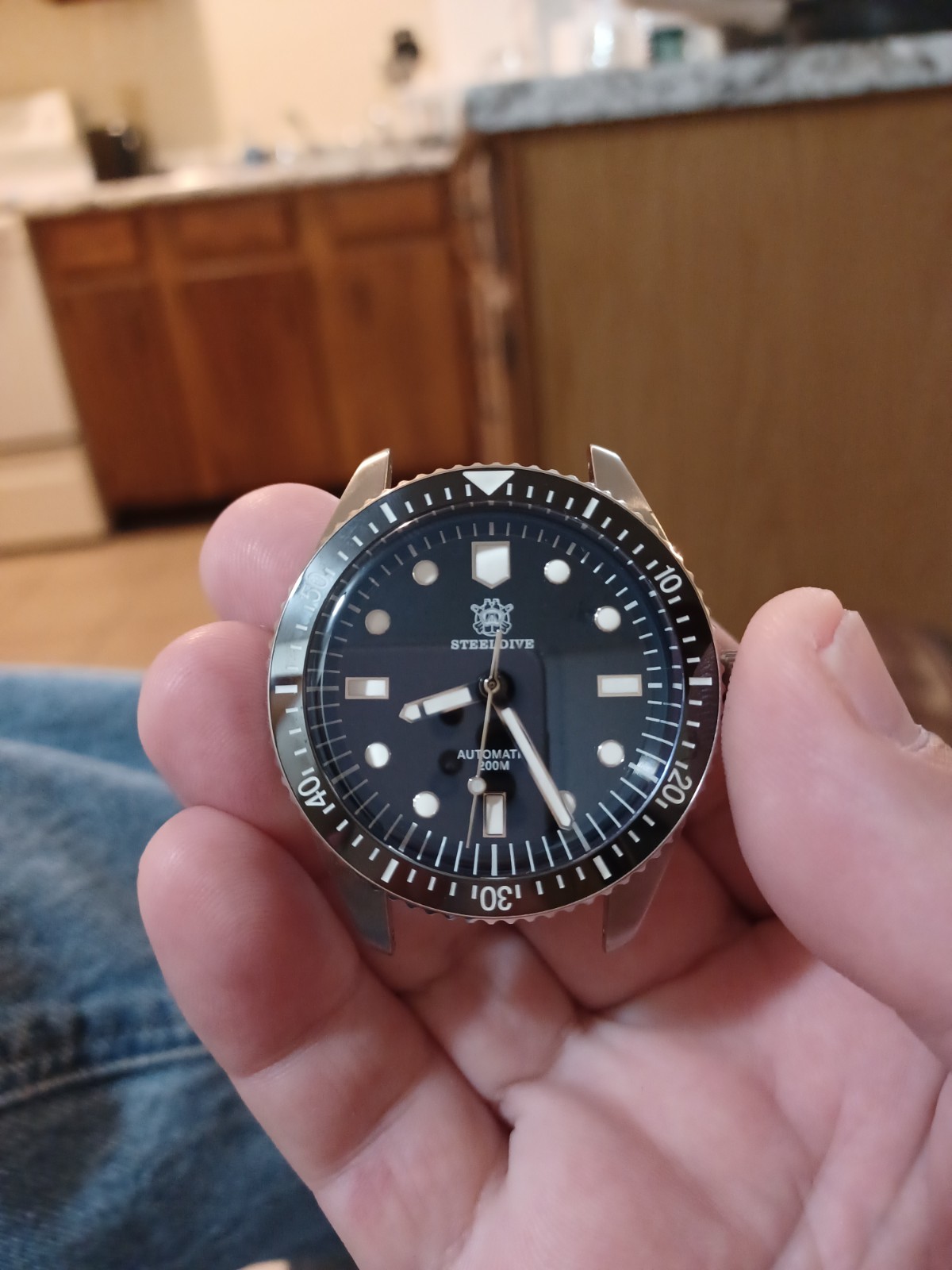 Steeldive dive watch