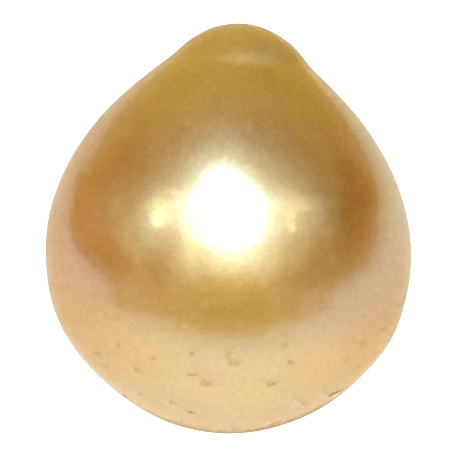 Smooth 13.8 x 15.4mm 19.5 Carat Natural Rich Golden Philippines South Sea Pearl