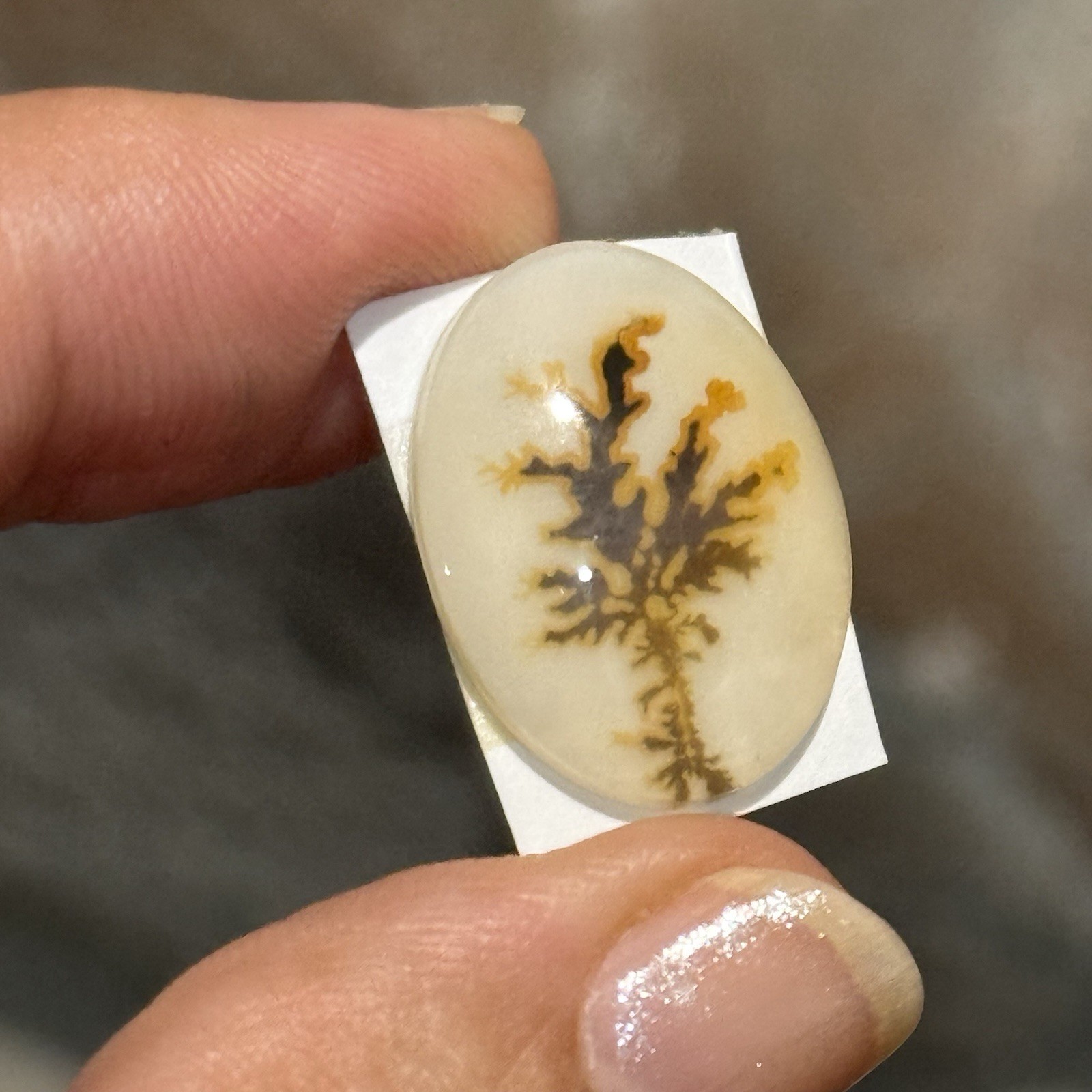 10.7ct 21×15.7×4.2mm Dendritic Agate Crystal Doublet Oval Cabochon Picture Stone