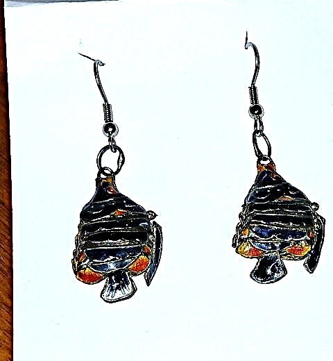 Cute nautical colorful swimming tropical fish earrings — FREE SHIP