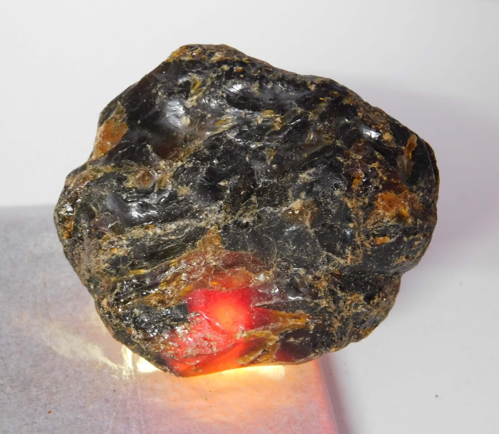 CERTIFIED 48.45 Ct Natural Orange Rough Uncut Amber Excellent Loose Gemstone