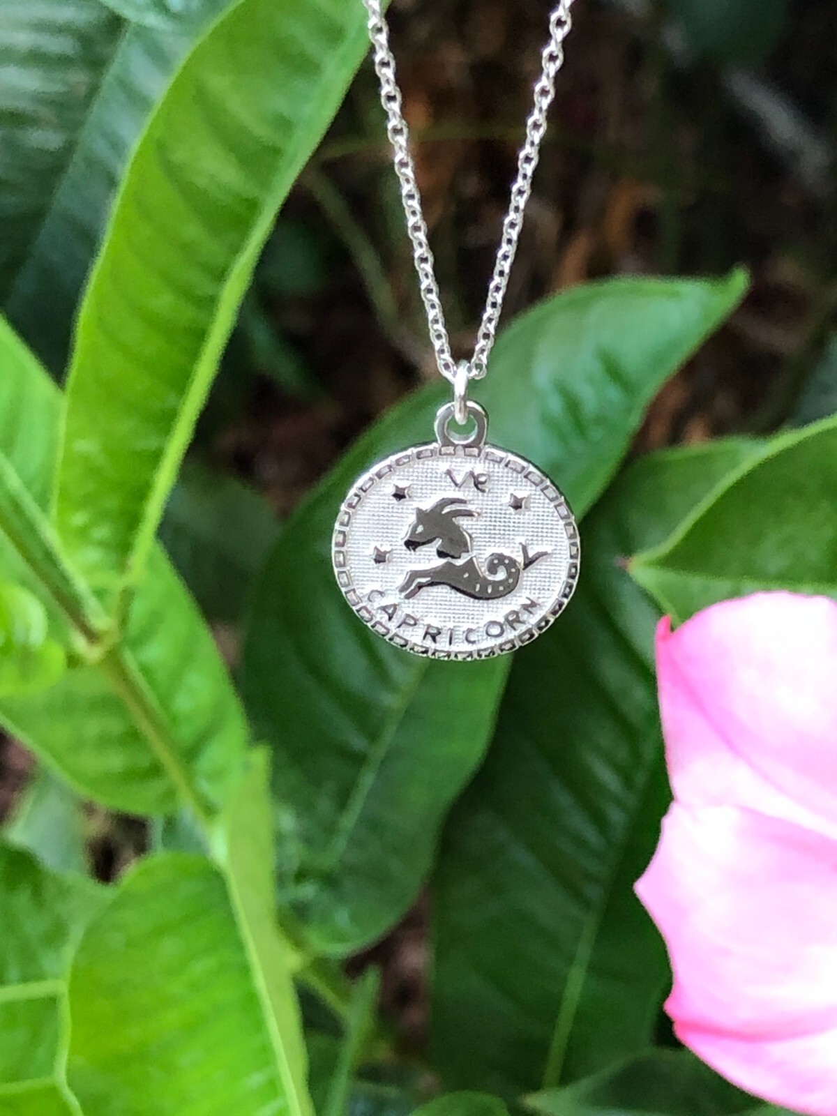 925 Sterling Silver Round Zodiac Capricorn Pendant Necklace Women 15mm 16-18″