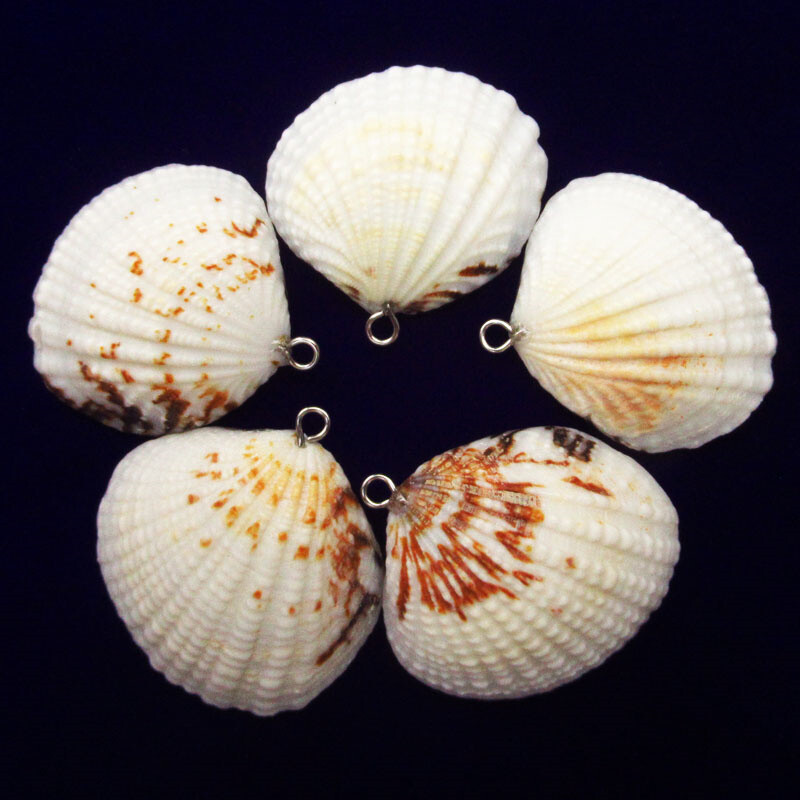 5Pcs 28x27x5/32x30x5mm Natural Seashells Scallop Shells Pendant Bead L0119420