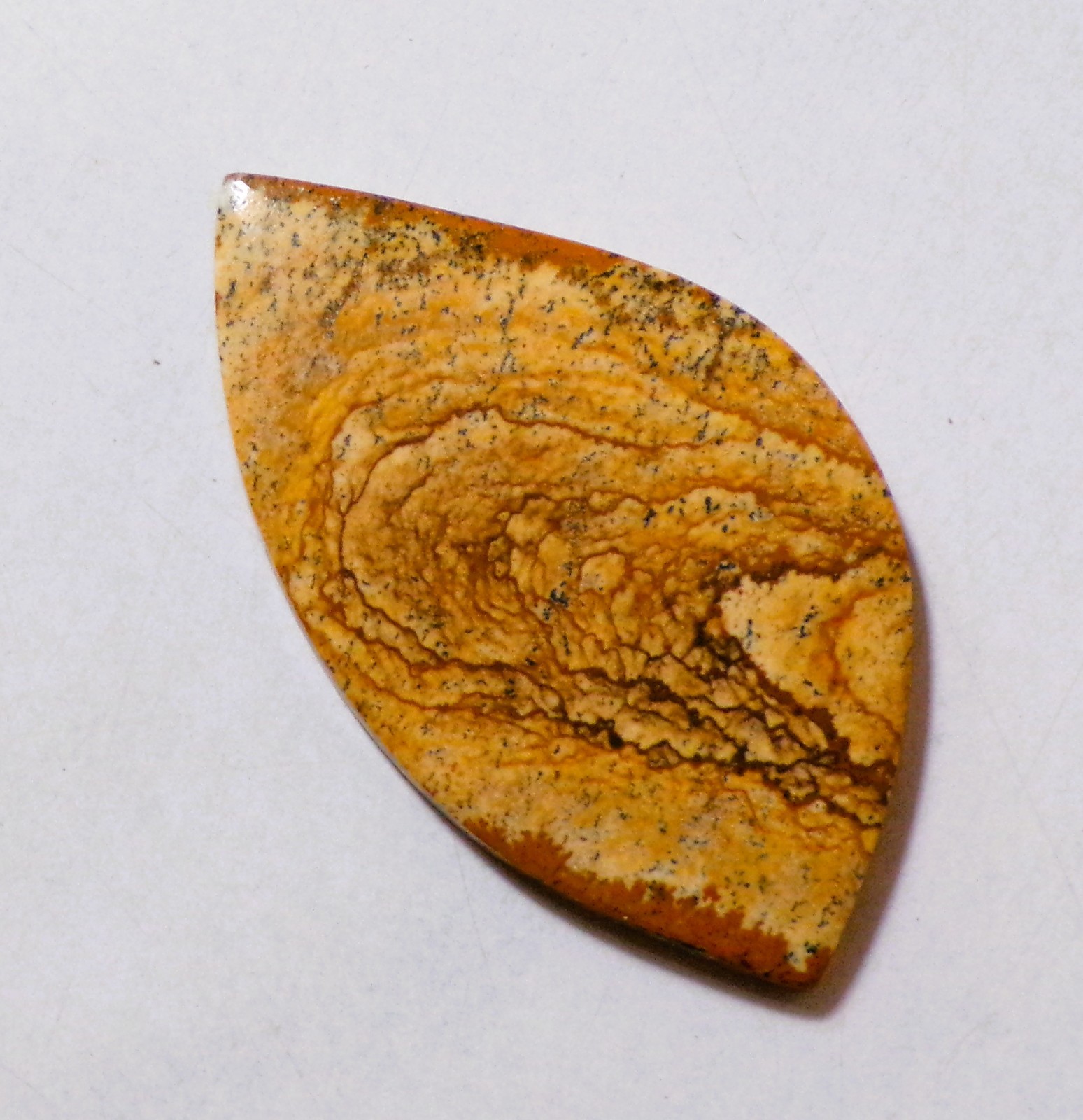 36.55 Cts Natural Picture Jasper Cabochon Loose Gemstone 47.4X27.2X4MM