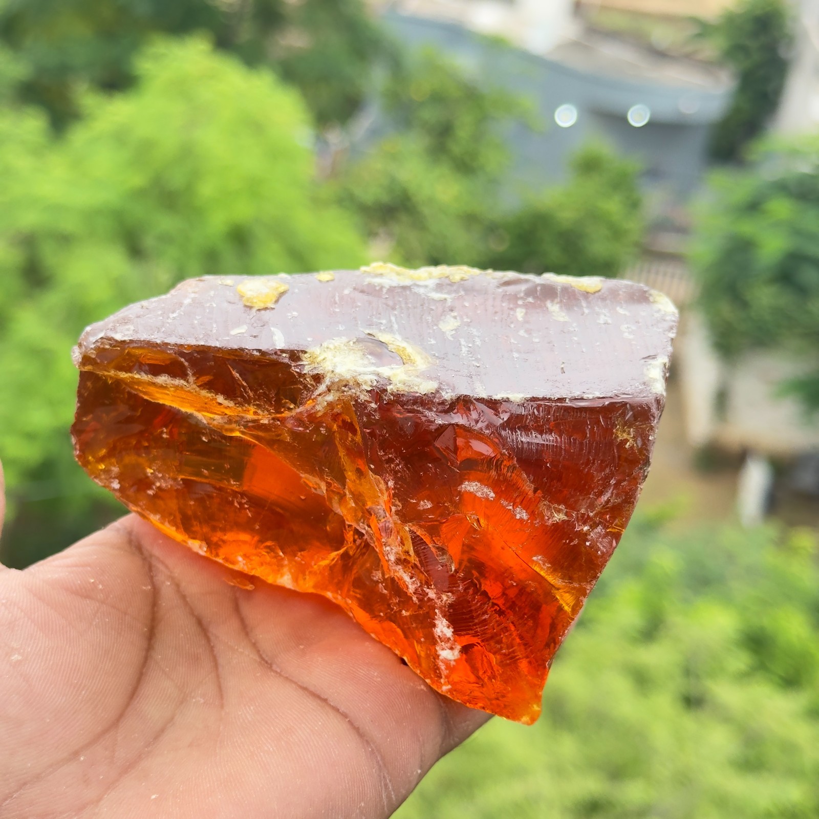 Certified 1620 Ct Natural Amber Rough – Translucent Raw Gemstone from Lithuania