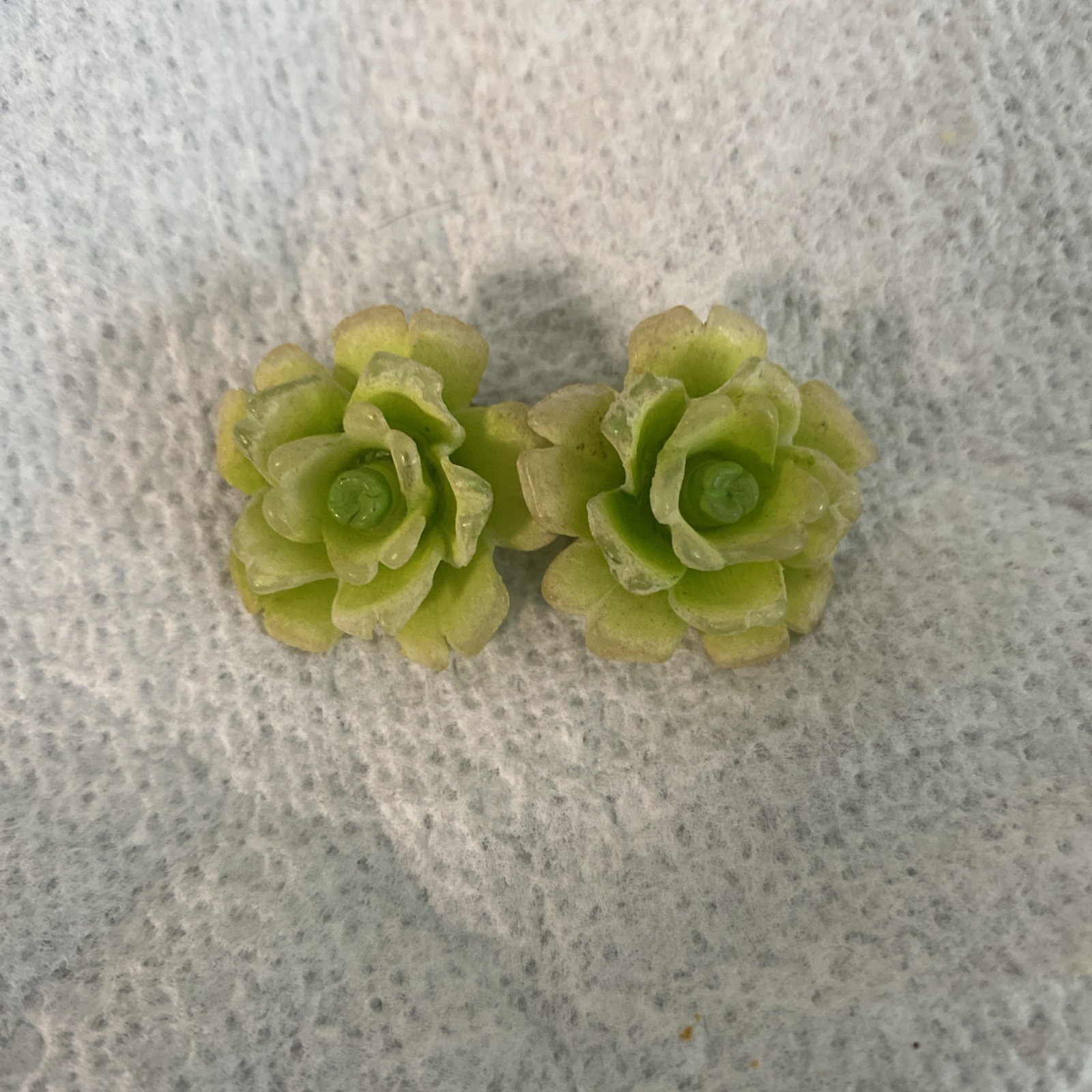 VINTAGE APPLE GREEN YELLOW WESTERN GERMANY CLIP ROSE FLOWER CELLULOID EARRINGS