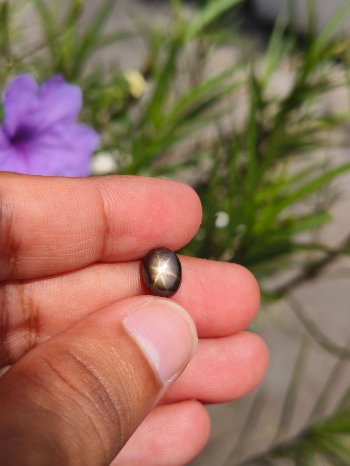 3.48 Cts A BEAUTIFUL NO HEAT BLACK STAR SAPPHIRE OF PERFECT 6 RAYS STAR ✨