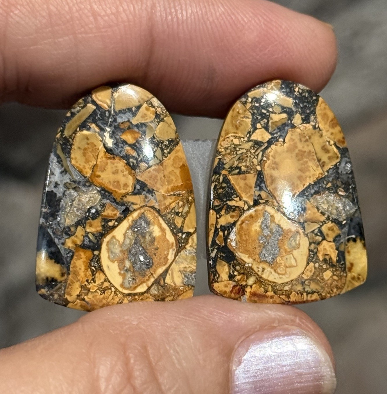 41.6ct 26.5×18.5x4mm Pair Fine Colorful Scenic Picture Maligano Jasper Cabochons