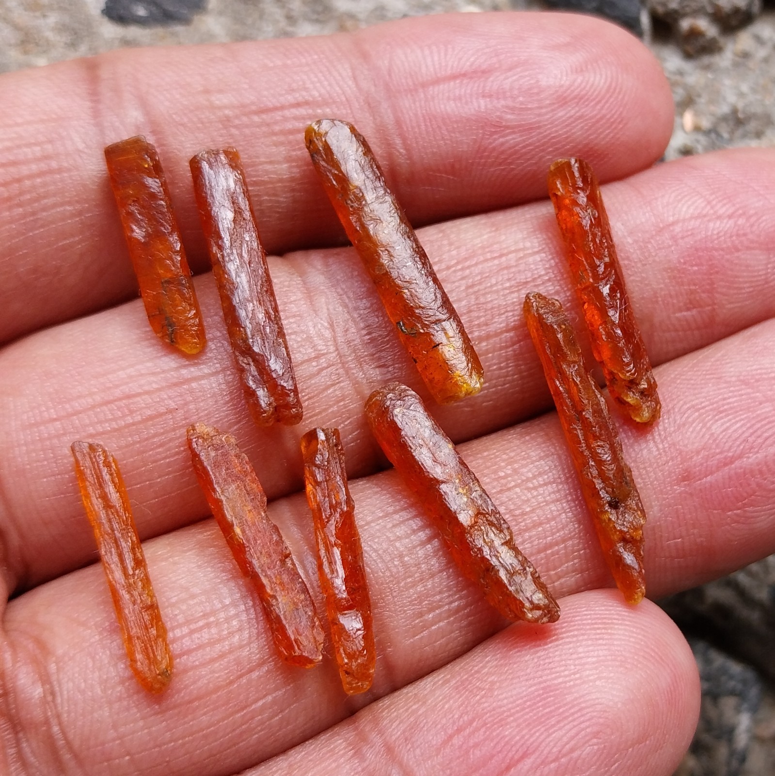 31 Carat 17 to 35 MM Natural Orange Kyanite Crystal Raw Rough Pencil 9 Piece Lot