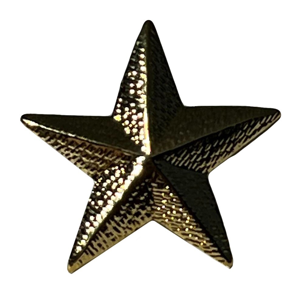 One 1 Gold Star Military Motorcycle Hat Cap Lapel Pin M-025