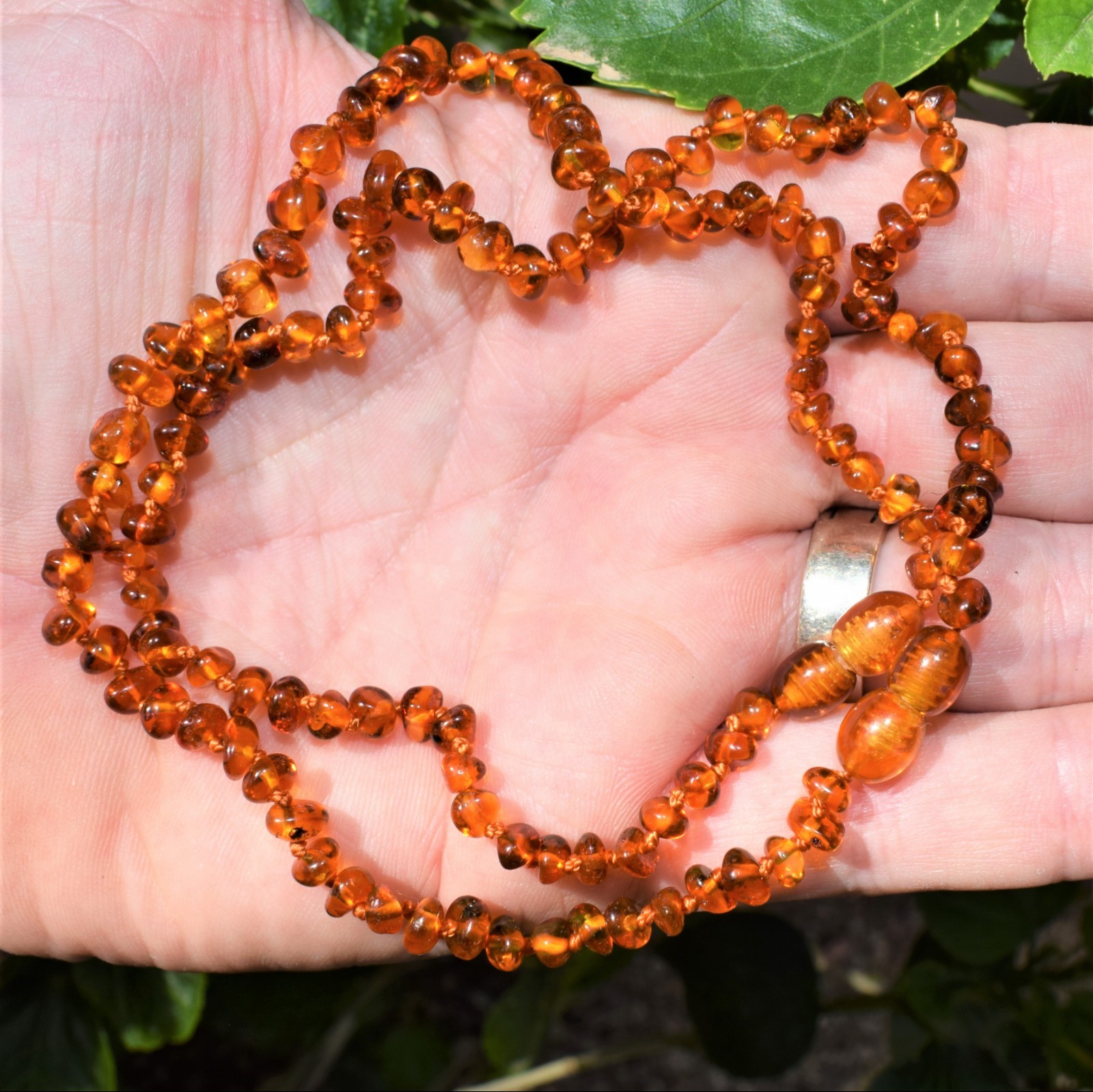 CHARGED Natural Lithuanian Cognac Baltic Amber 24″ Necklace + Selenite Charger