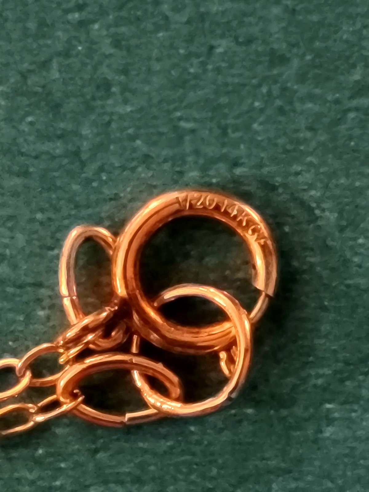 1/20 14K Yellow Gold Filled Necklace With a Genuine Shark Tooth Pendant