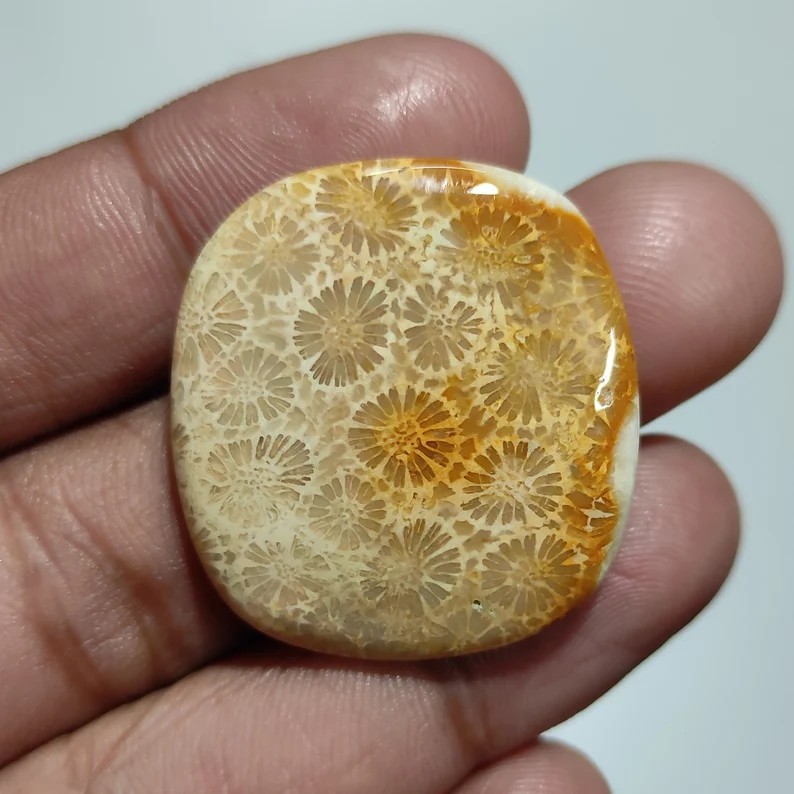 45.00 Cts Fossil Coral Pendant Making Cushion Cabochon Natural 32X30X5.5 MM