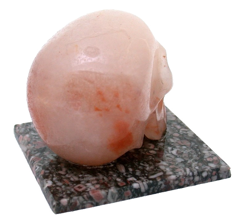 101 Gram 1 3/5 x 2 x 1 2/5 Inch Agate Skull Carving On Fossil Base EC43/9625
