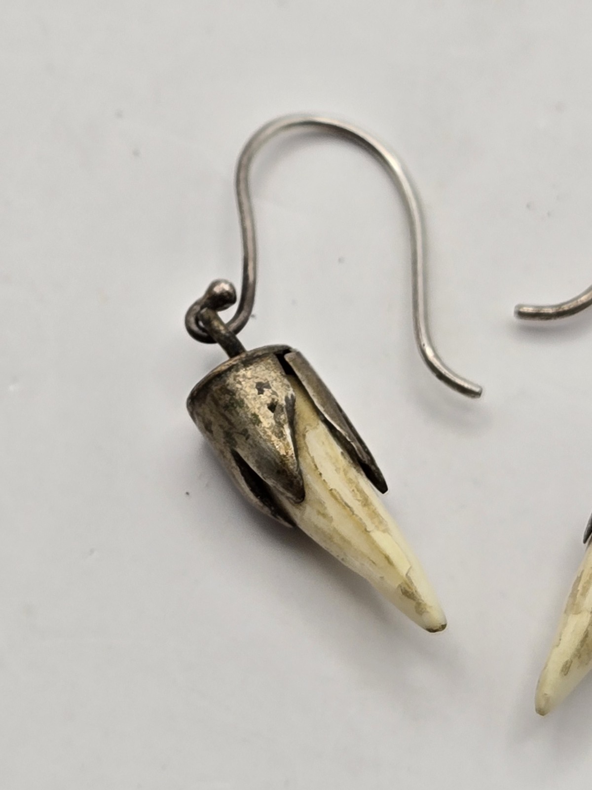 Sterling Silver Real Animal Teeth Earring Set Tribal BOHO ACID TESTED SEE PICS