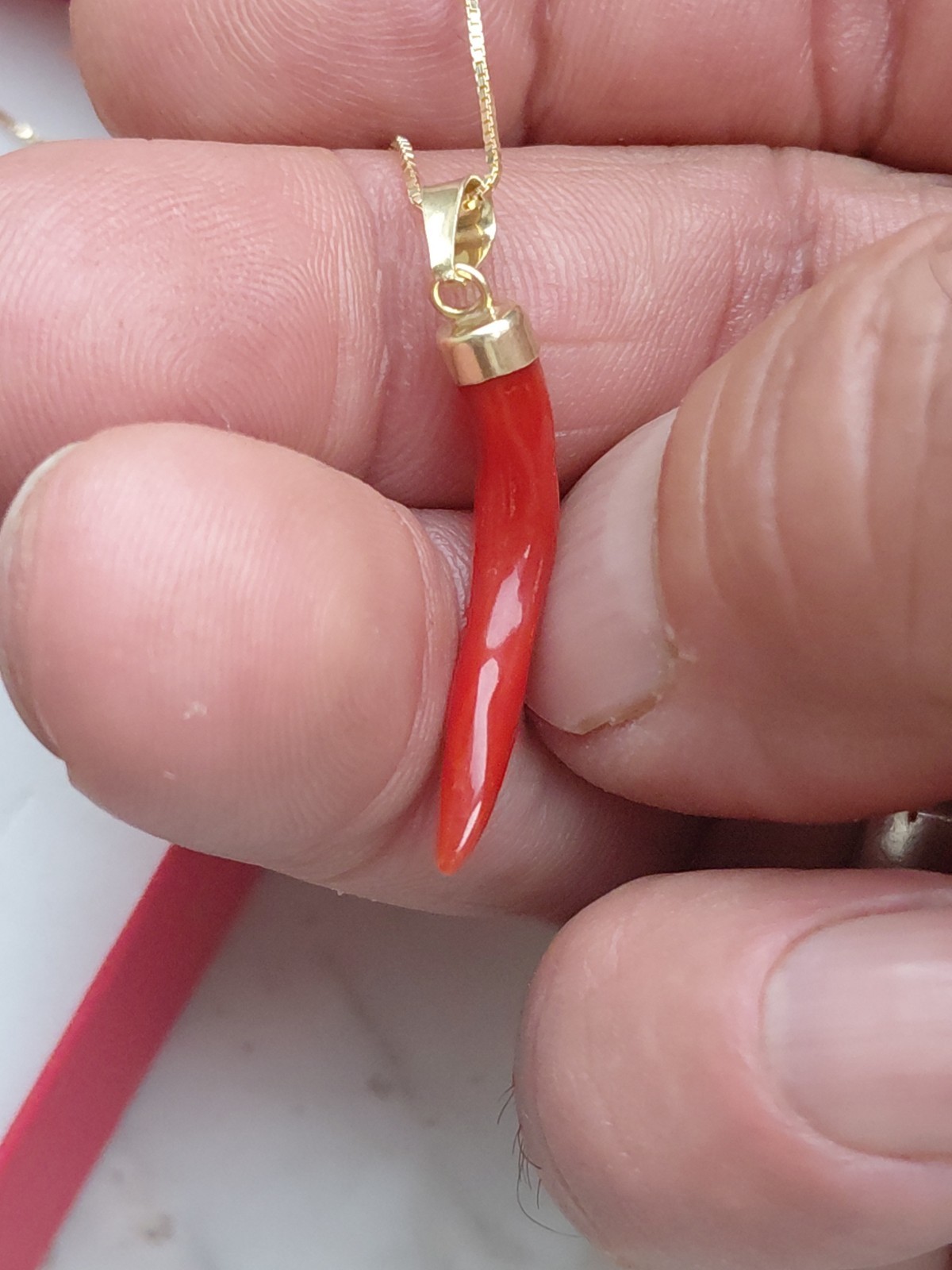 SARDINIAN RED CORAL HORN NECKLACE + AMULET ON SILVER,925