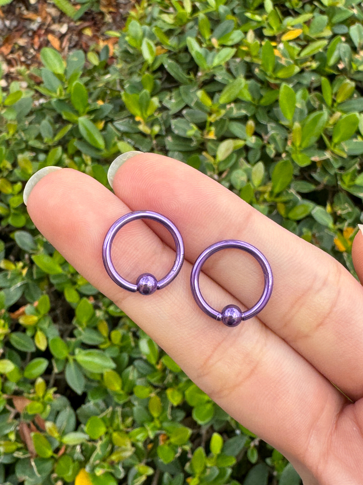 Captive Bead Ring surgical steel Pvd 14G Earrings Hoops Lip Belly Nipple 12PK