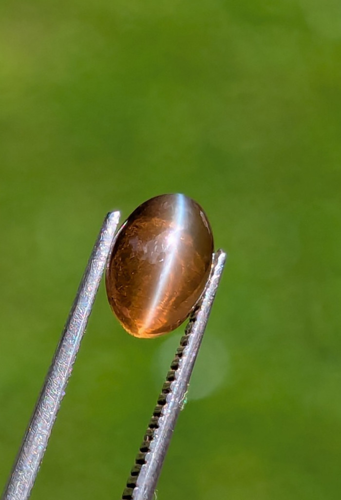 Natural Chrysoberyl Cat’s Eye 1.35ct Honey | Sharp Eye | Glass Body Ceylon