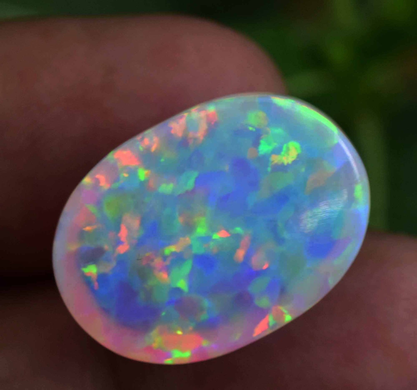 14.05 Ct Natural Ethiopian Fire Opal Certified Play of Color Untreated Gemstone