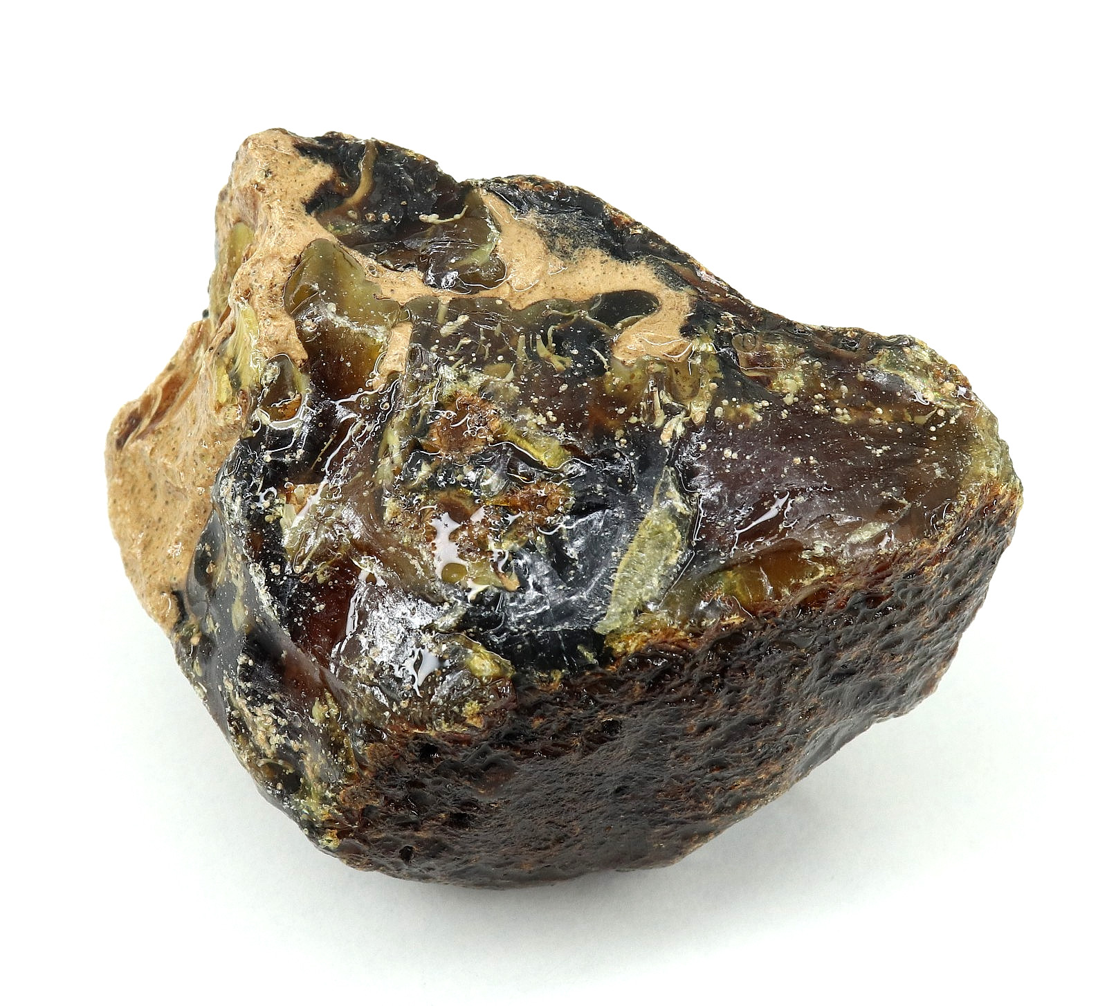 Natural Honey Baltic Amber Untreated Specimen Certified Rough Gemstone 233 Ct.
