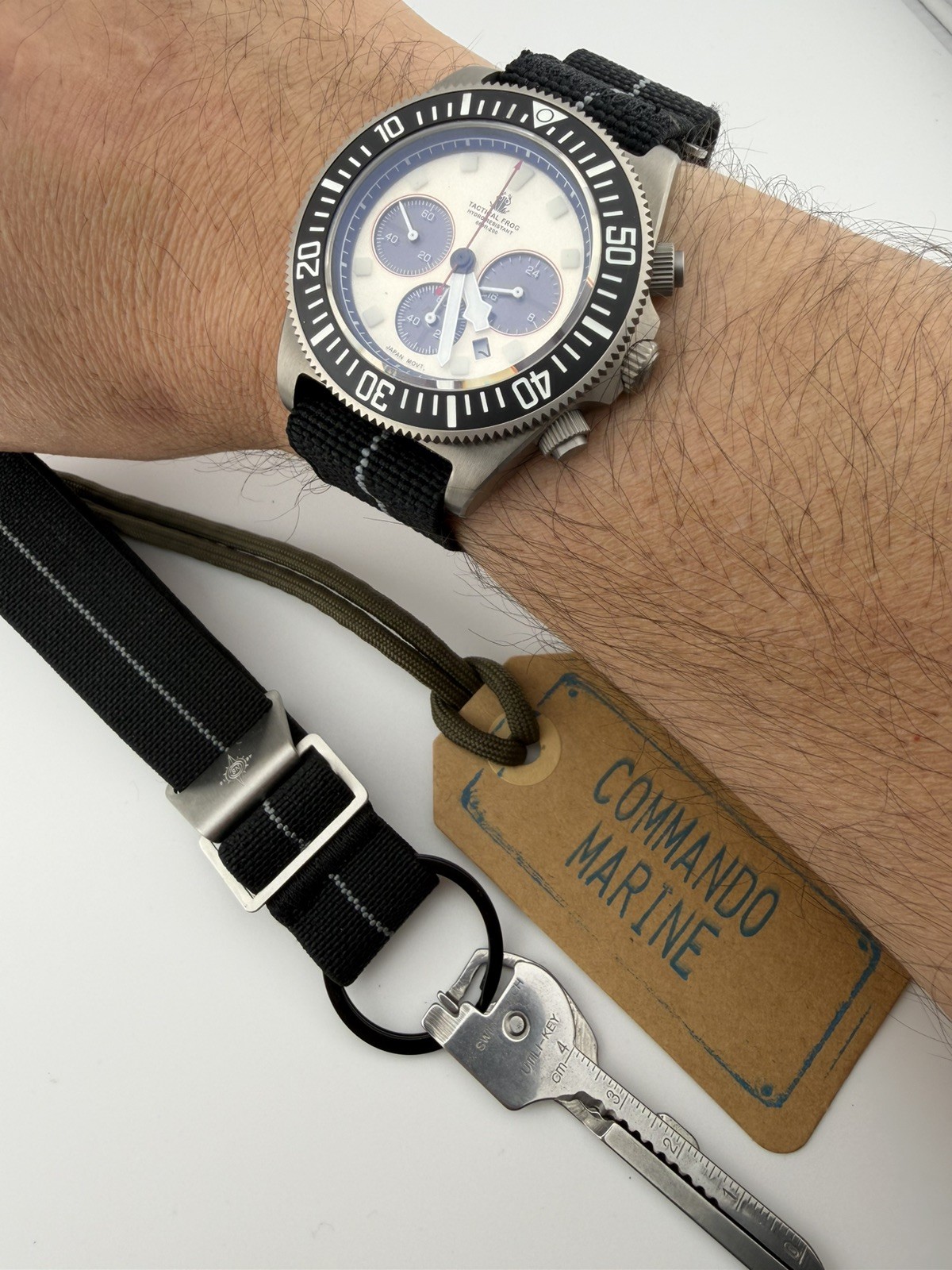 TACTICAL FROG Titanium VS75B Solar Power Quartz Chronograph Watch Newman Panda
