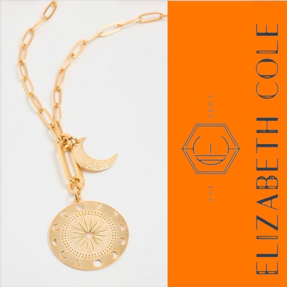 Elizabeth Cole Dream Necklace 24K Gold Plated Jewelry Gift