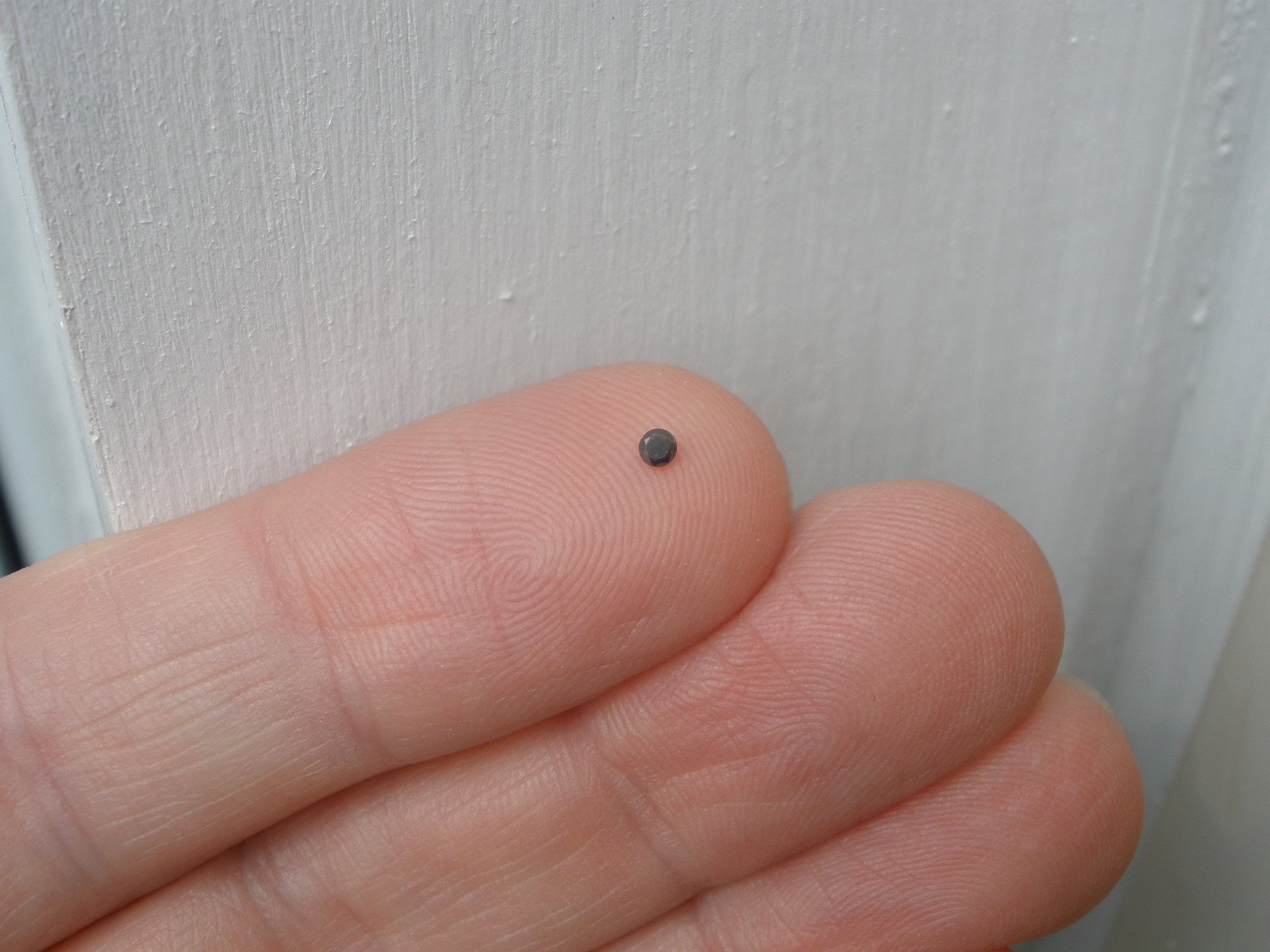 Natural Black diamond loose faceted round 1.3mm