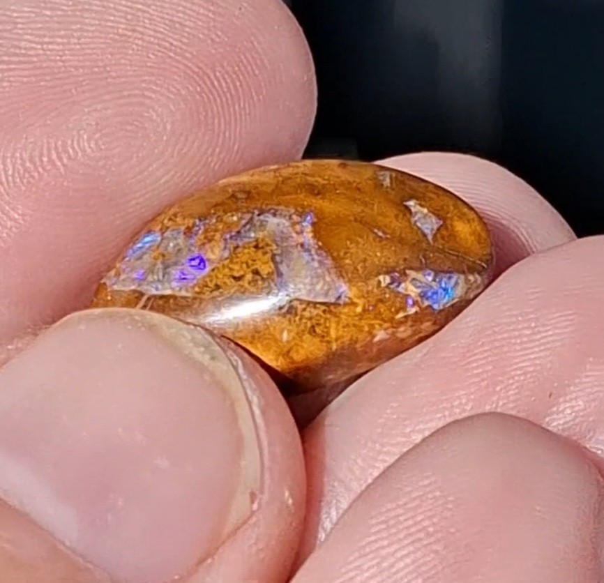 12.5ct Wood replacement Qld boulder opal. Vibrant iridescent blue & purple flash