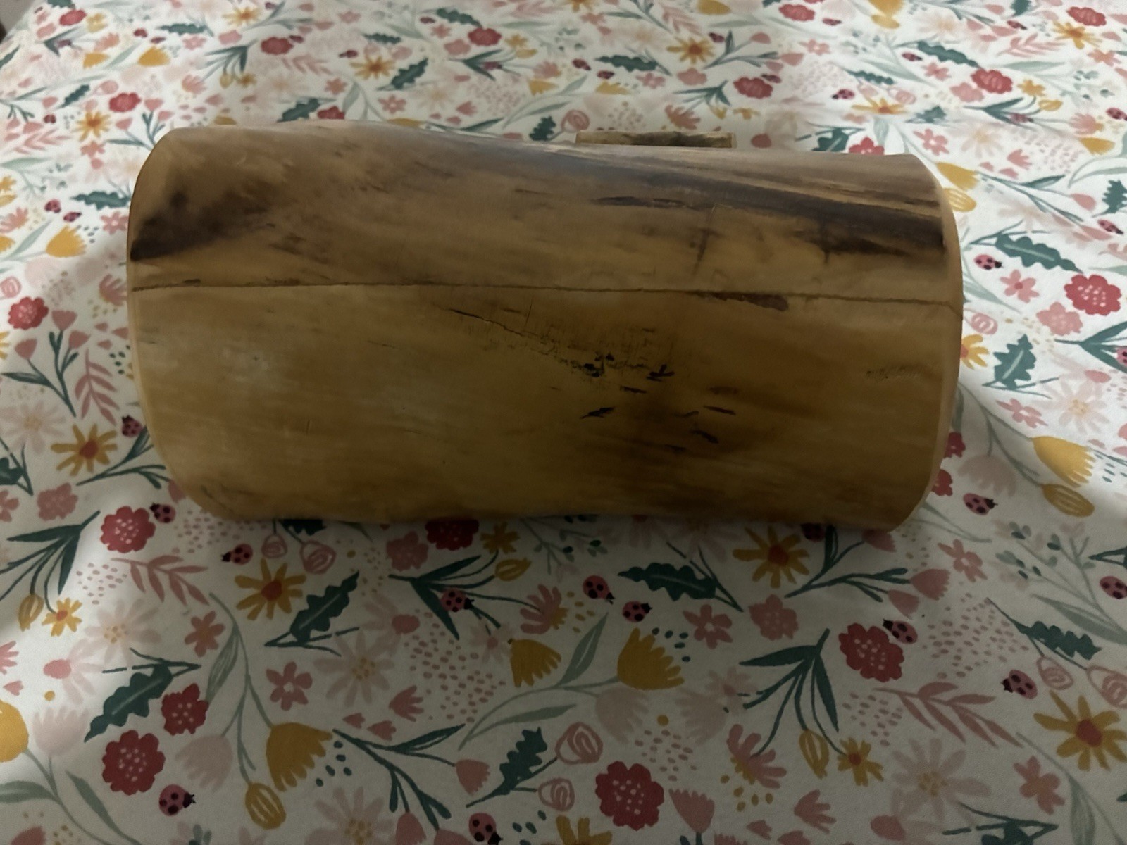 Nature Log Jewelry Box