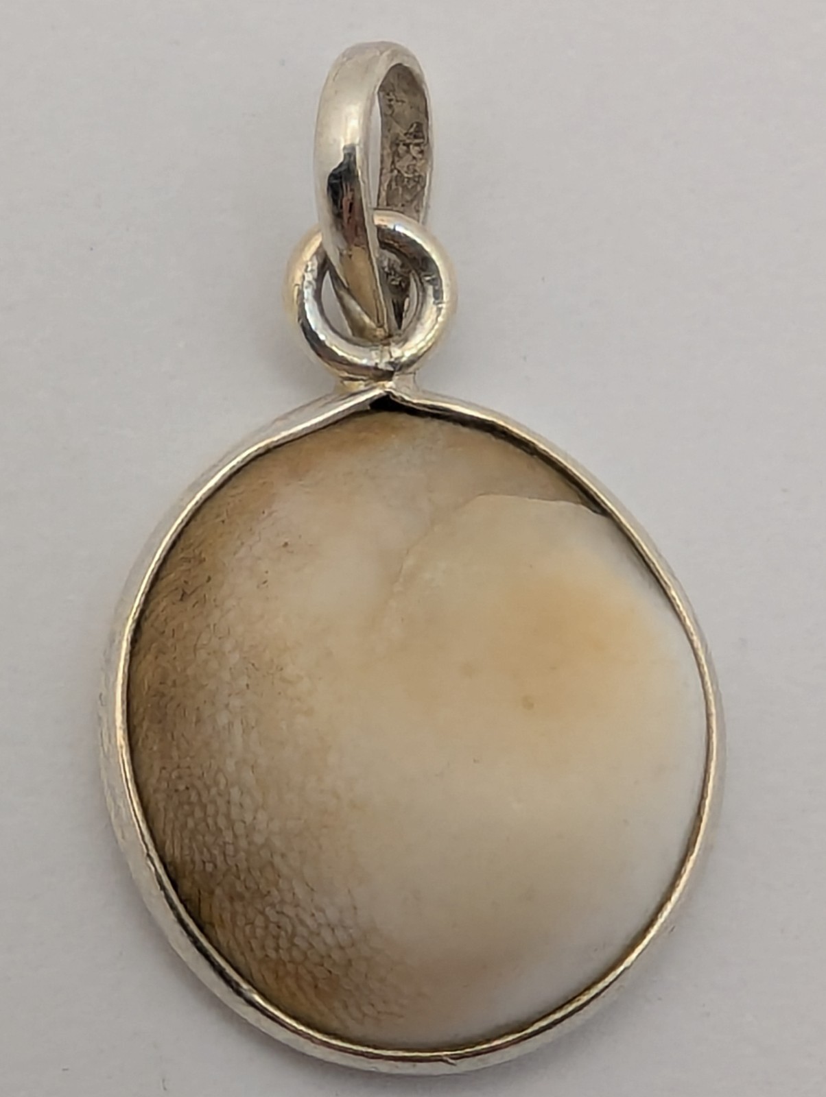 925 STERLING SILVER PENDANT With SHIVA EYE SHELL Natural Spiral Design 3.2 Grams